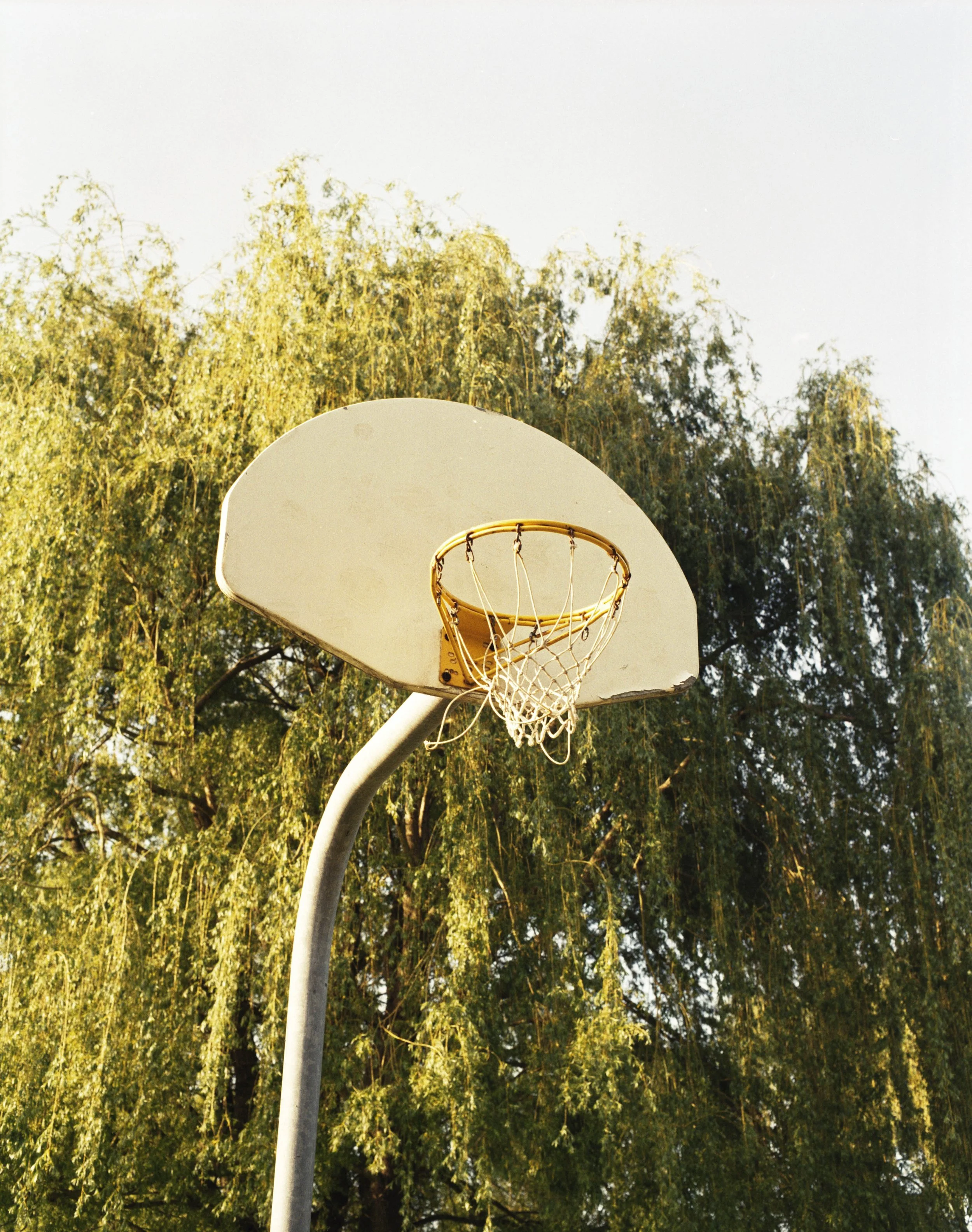 img20220816_17402810.jpg