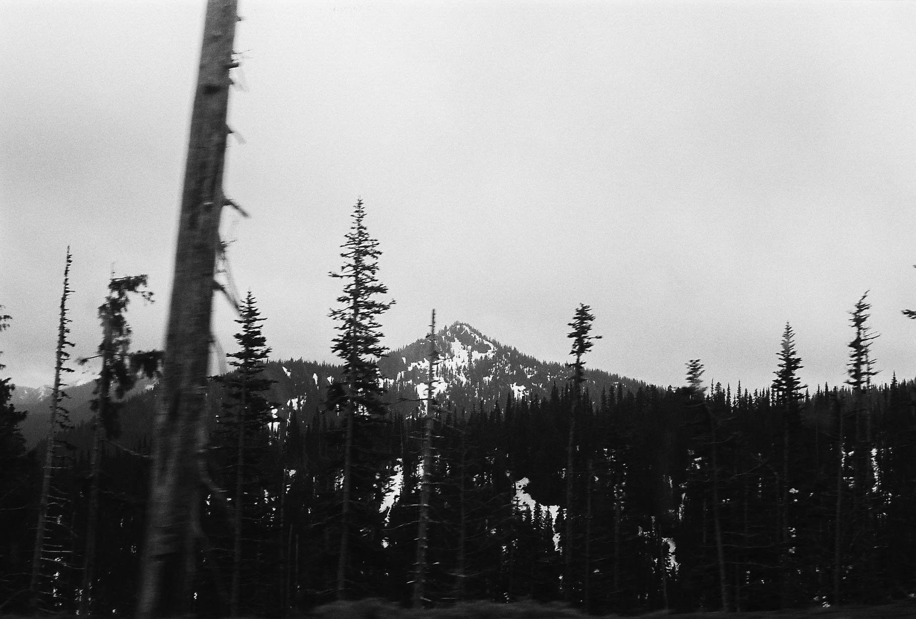 R1-07667-0102.jpg