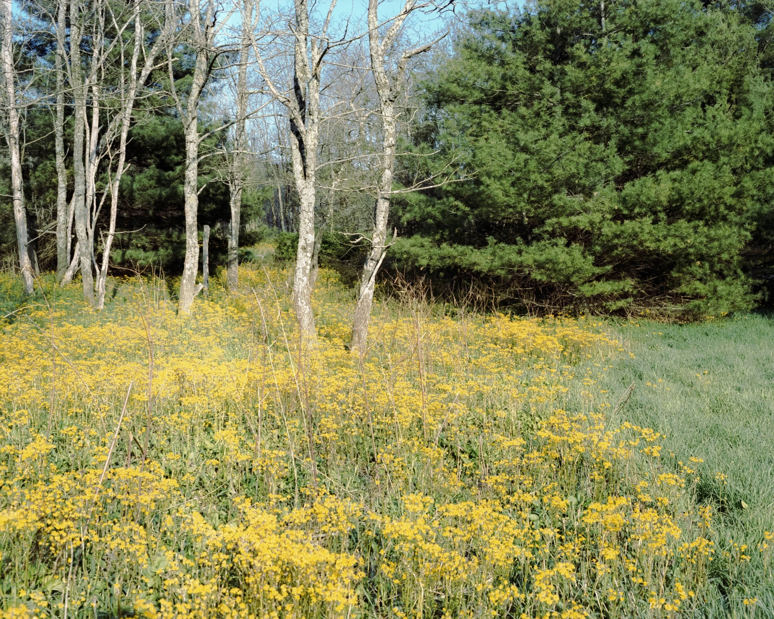 img20220913_17551190.jpg
