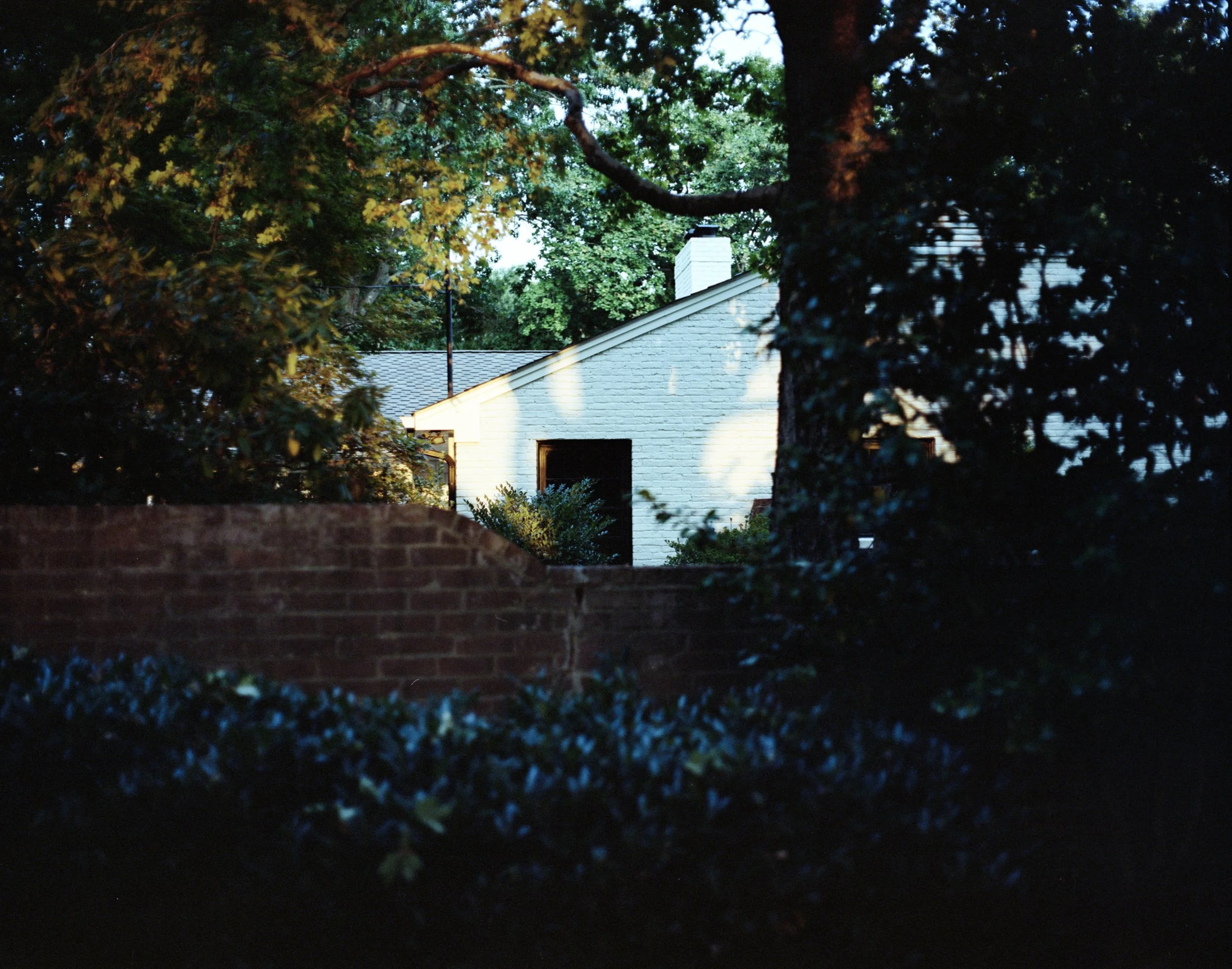 img20220926_20371434.jpg