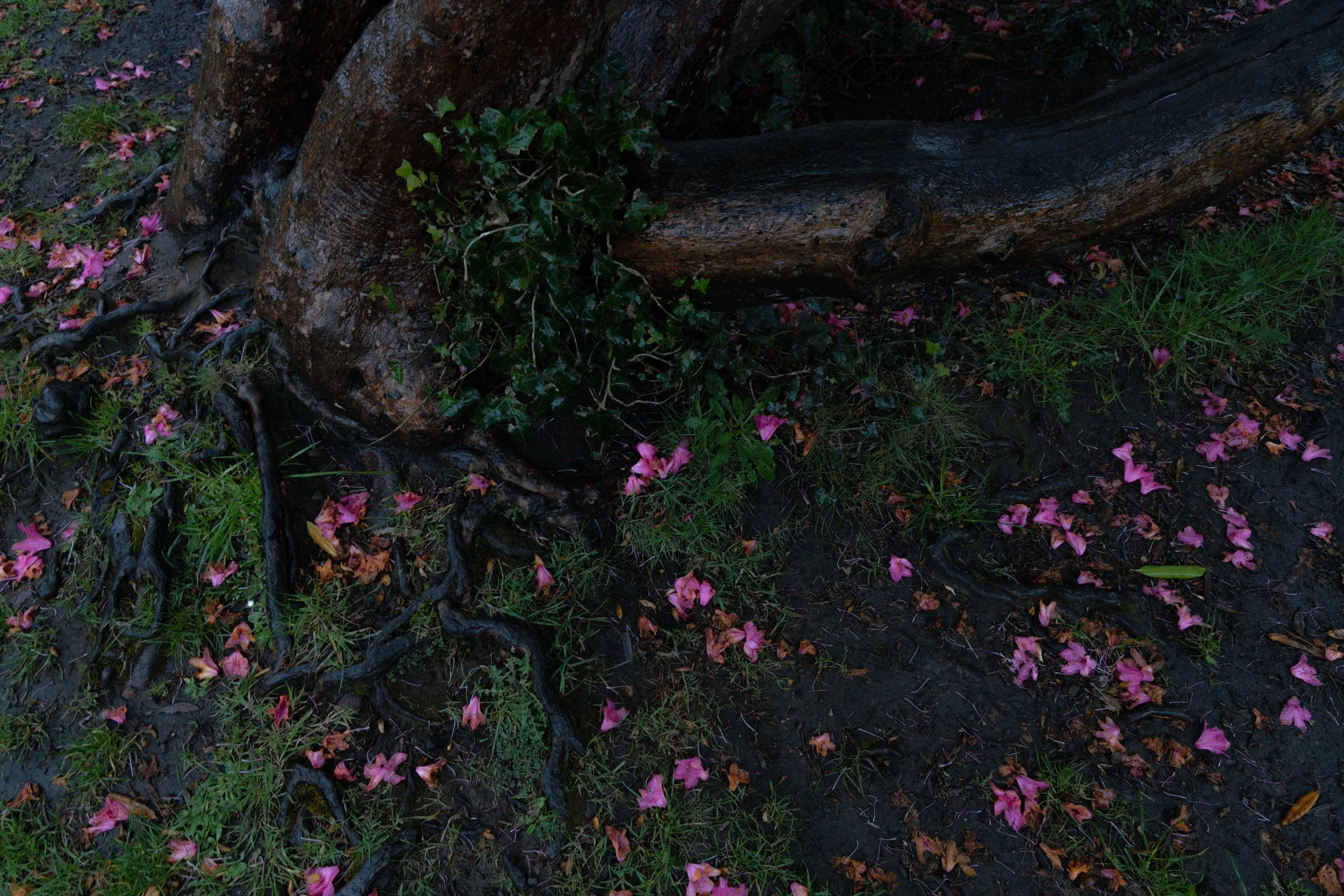 ID7A4767.jpg