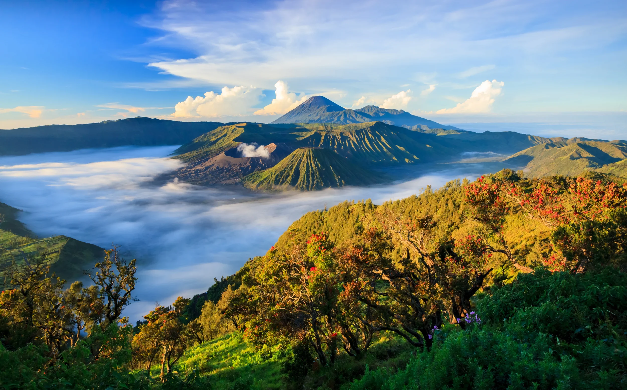 Gunung bromo