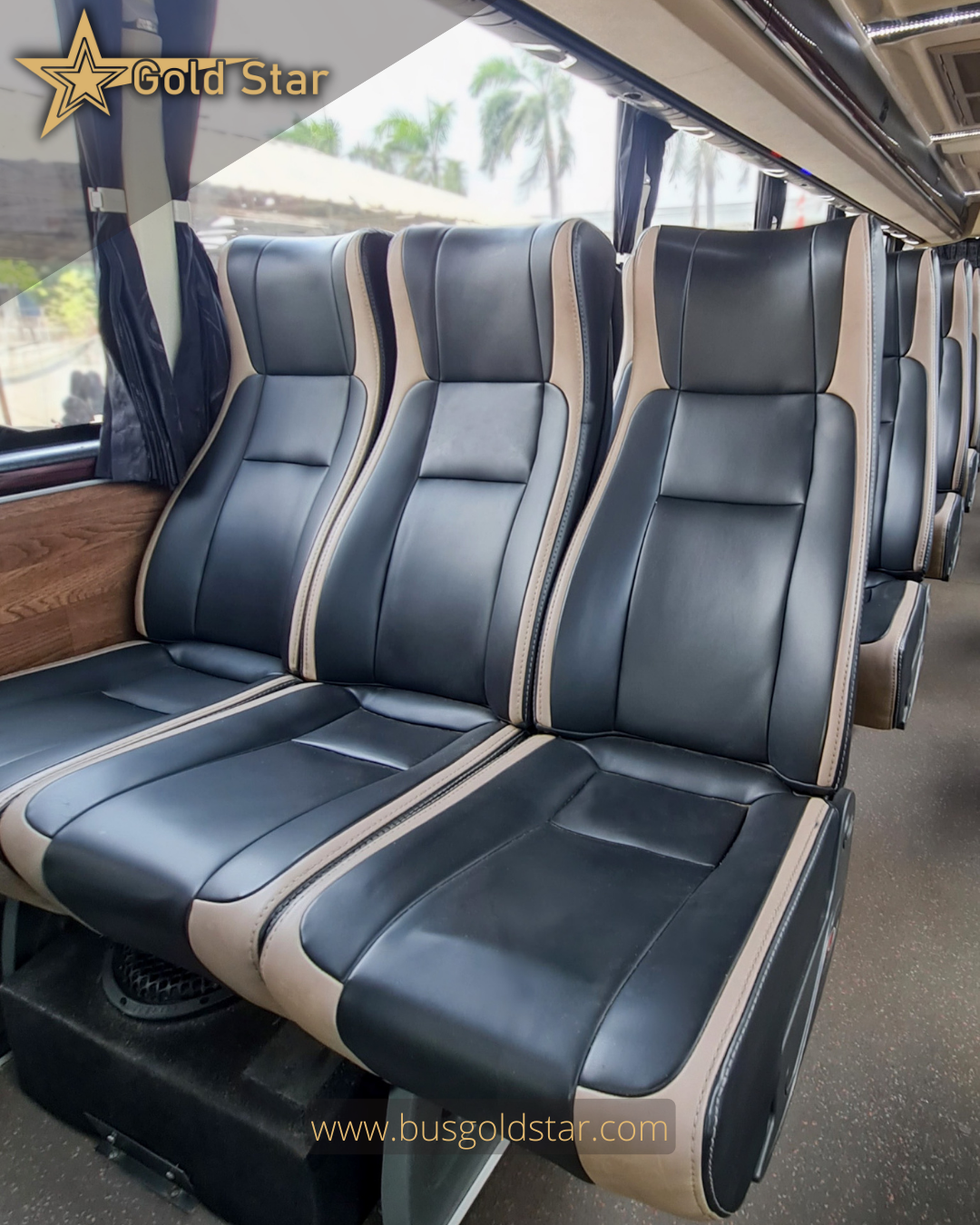 GOLDSTAR SEAT  (1).png