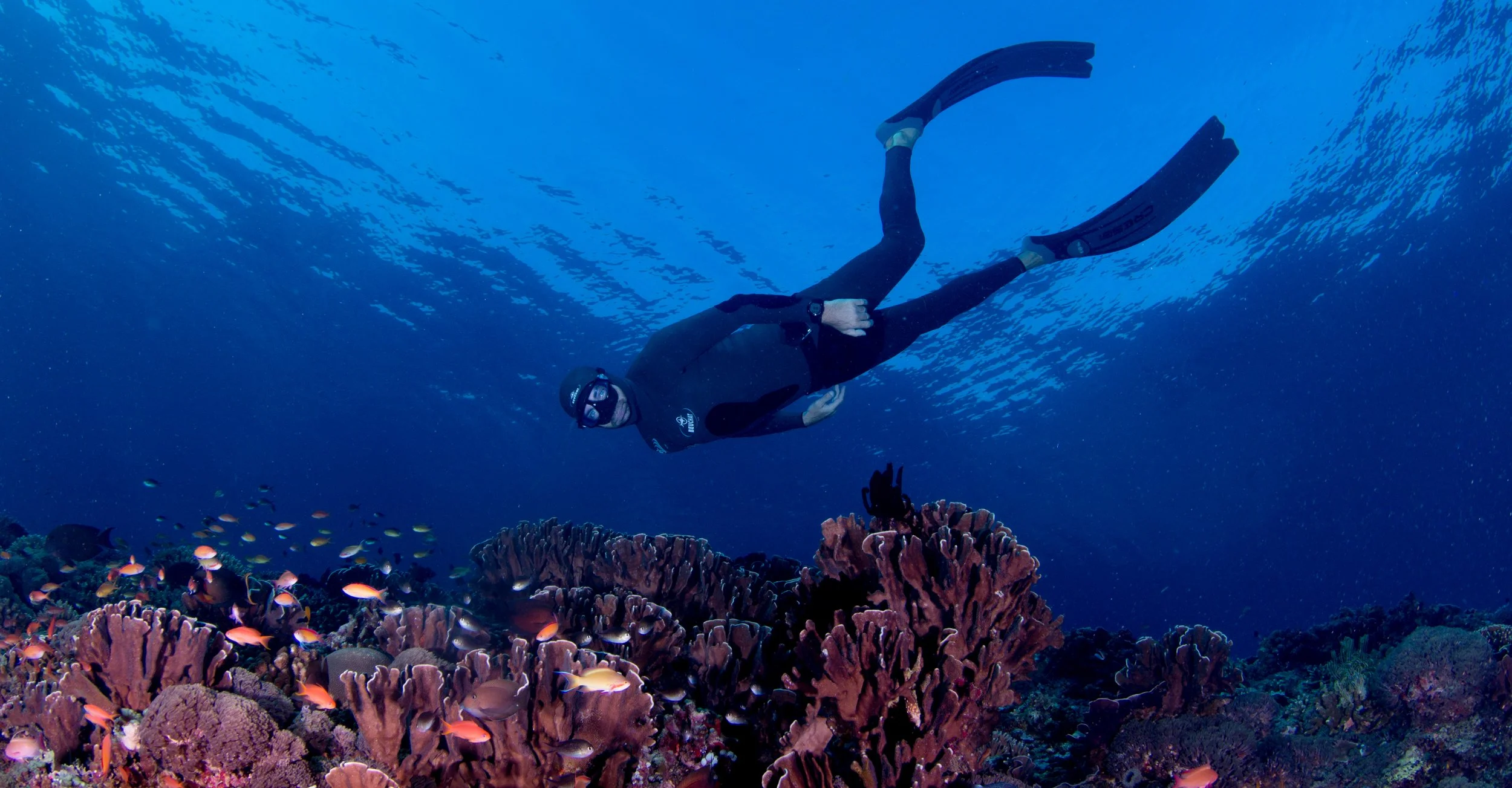 Is Freediving Dangerous? Safety, Risks &amp; What You Need to Know