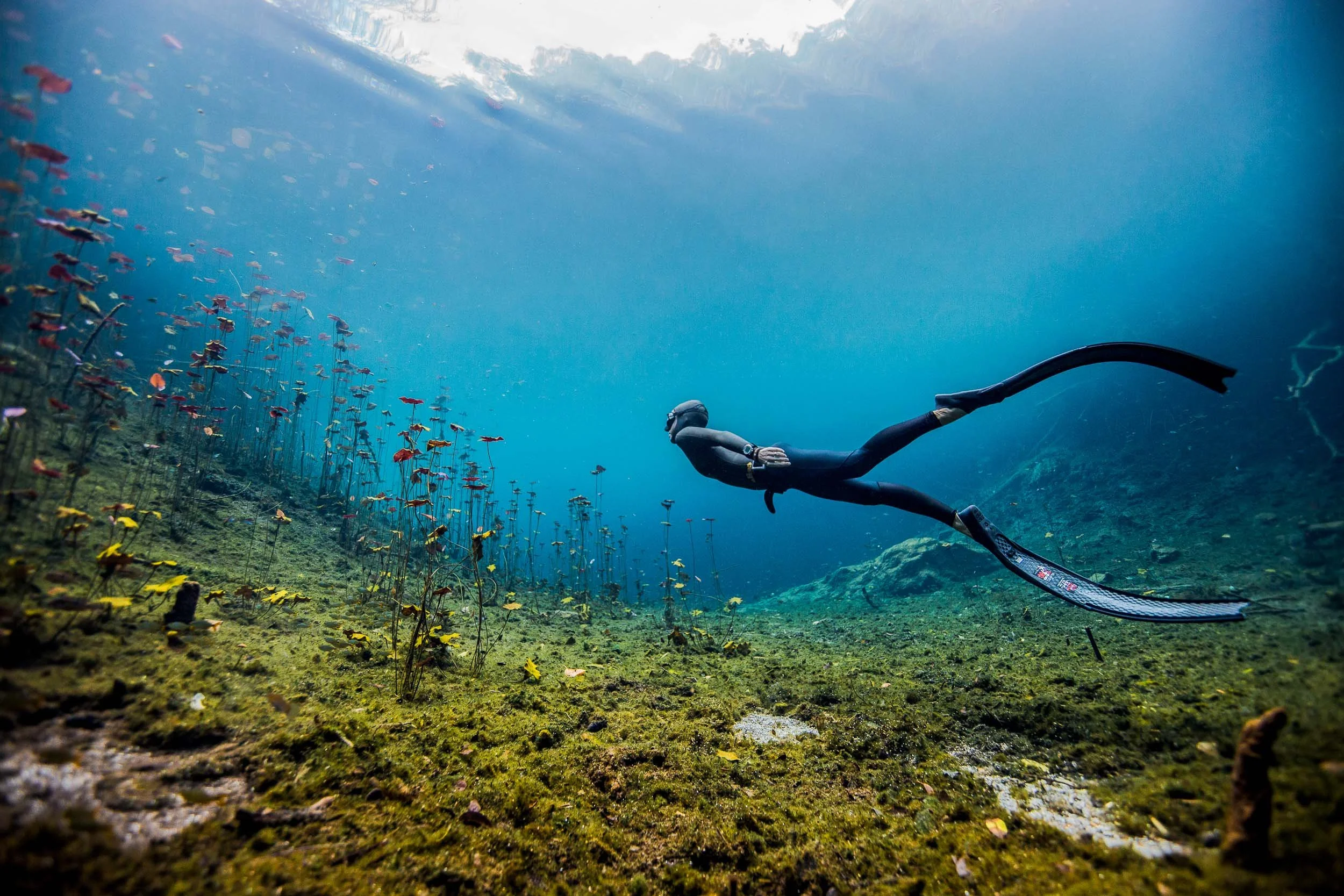 Freediver in wetsuit and fins swimming during Orenda Freediving ocean training in Thailand