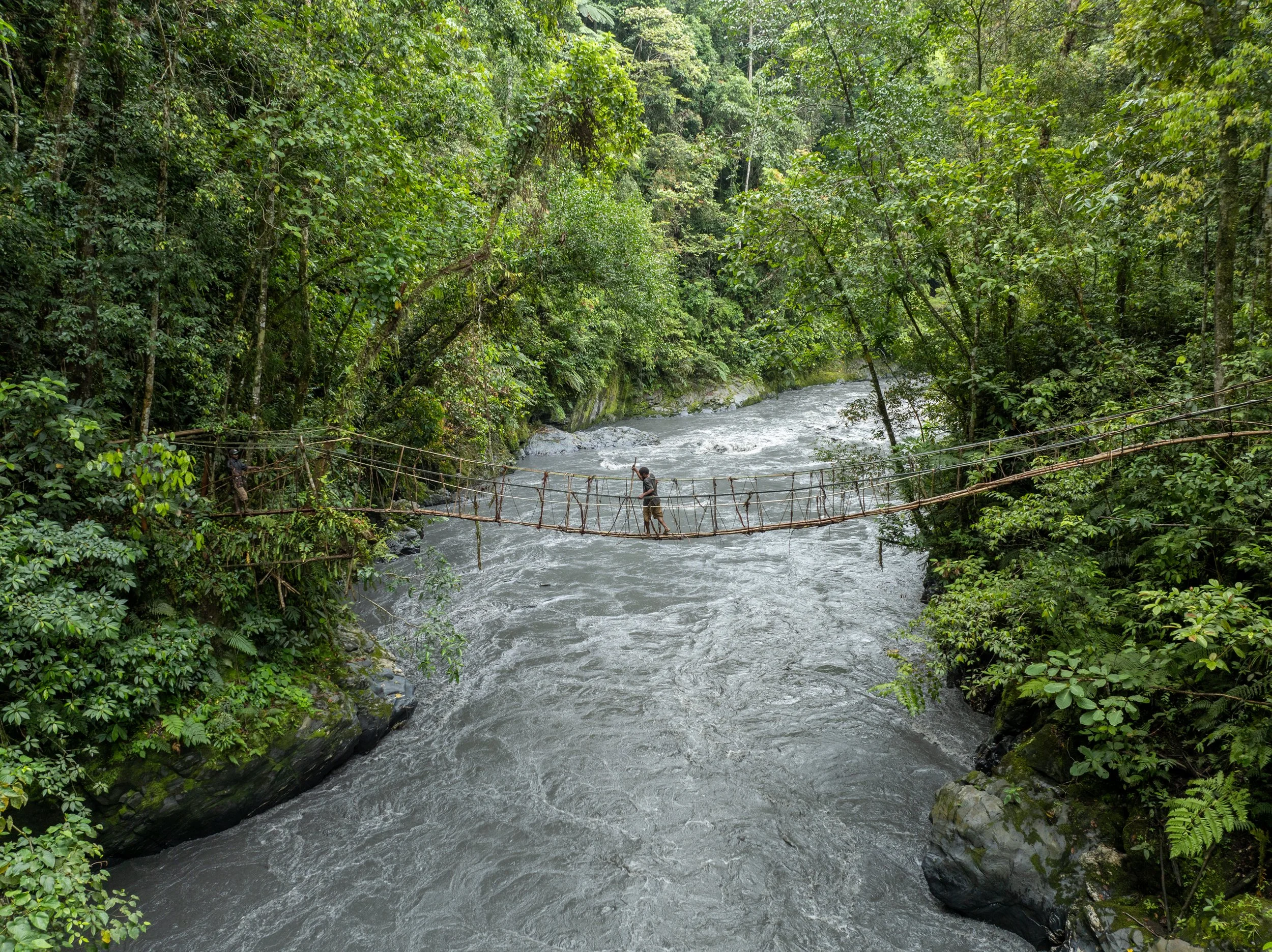 A man crossing a narrow, rustic rope bridge over a river in a dense, green jungle.
