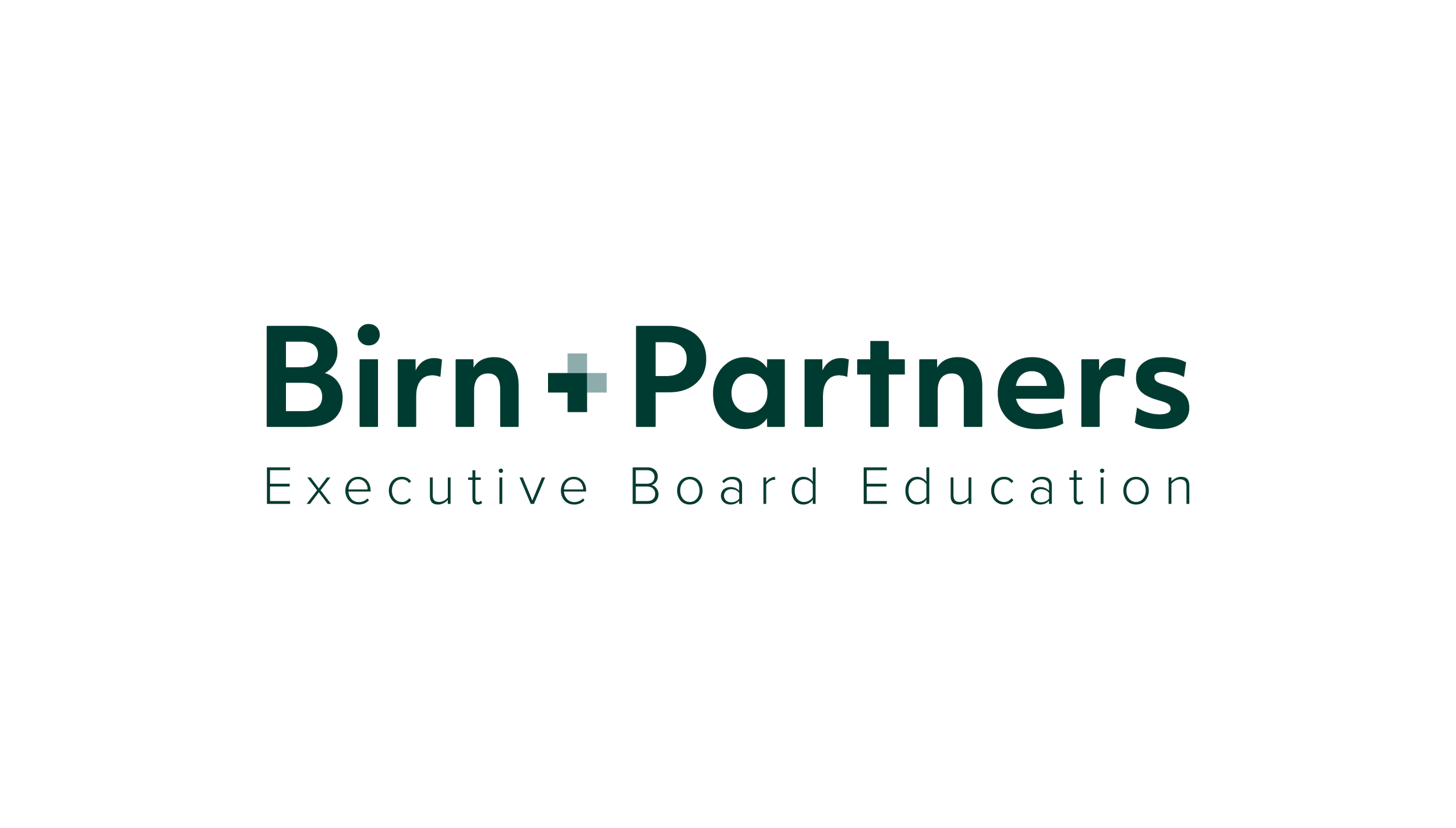 Birn & Partners
