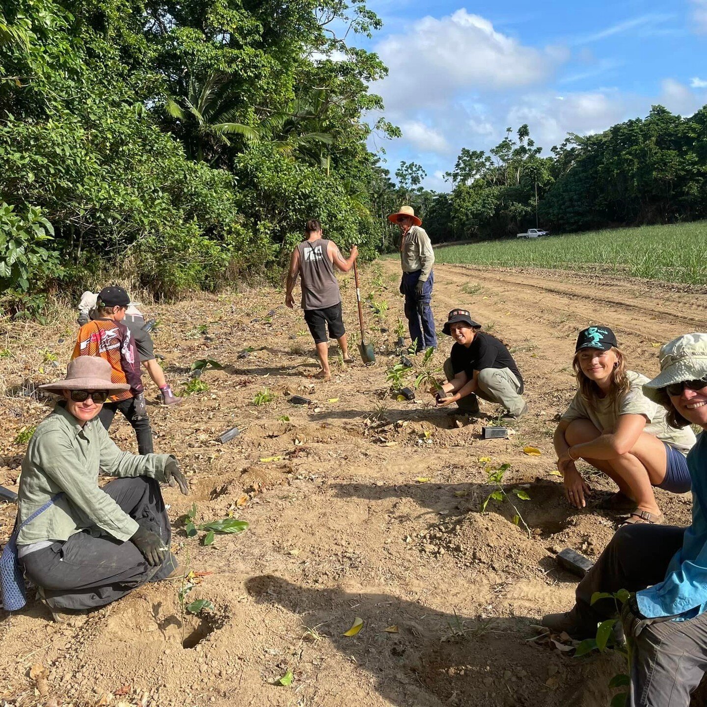 Yay !! Our next Community Tree planting has been confirmed for Sunday the 3rd of December. This one won&rsquo;t be so hot as we&rsquo;ll be planting in the shade.

To best stay updated on our upcoming events please sign up to our newsletter or find o