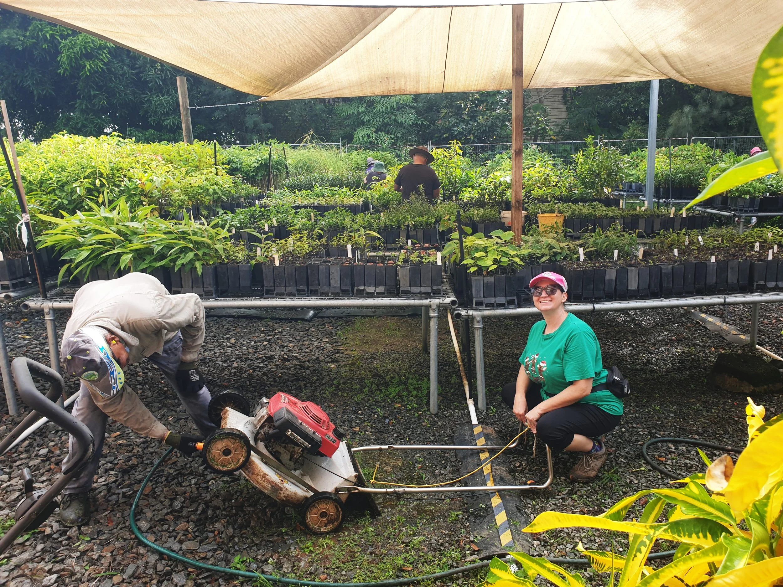 Community Nursery Mornings – Volunteer with Us! 🌱