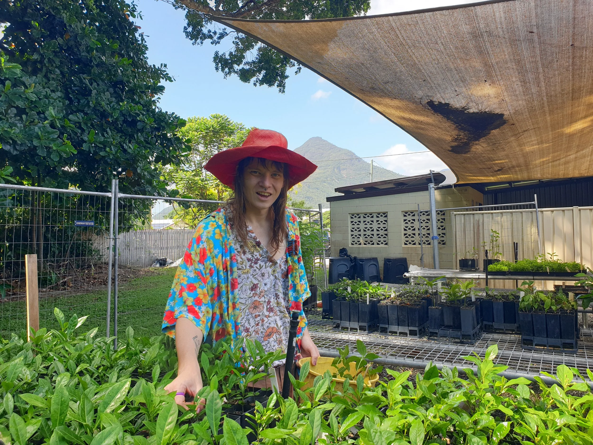 Community Nursery Mornings – Volunteer with Us! 🌱 