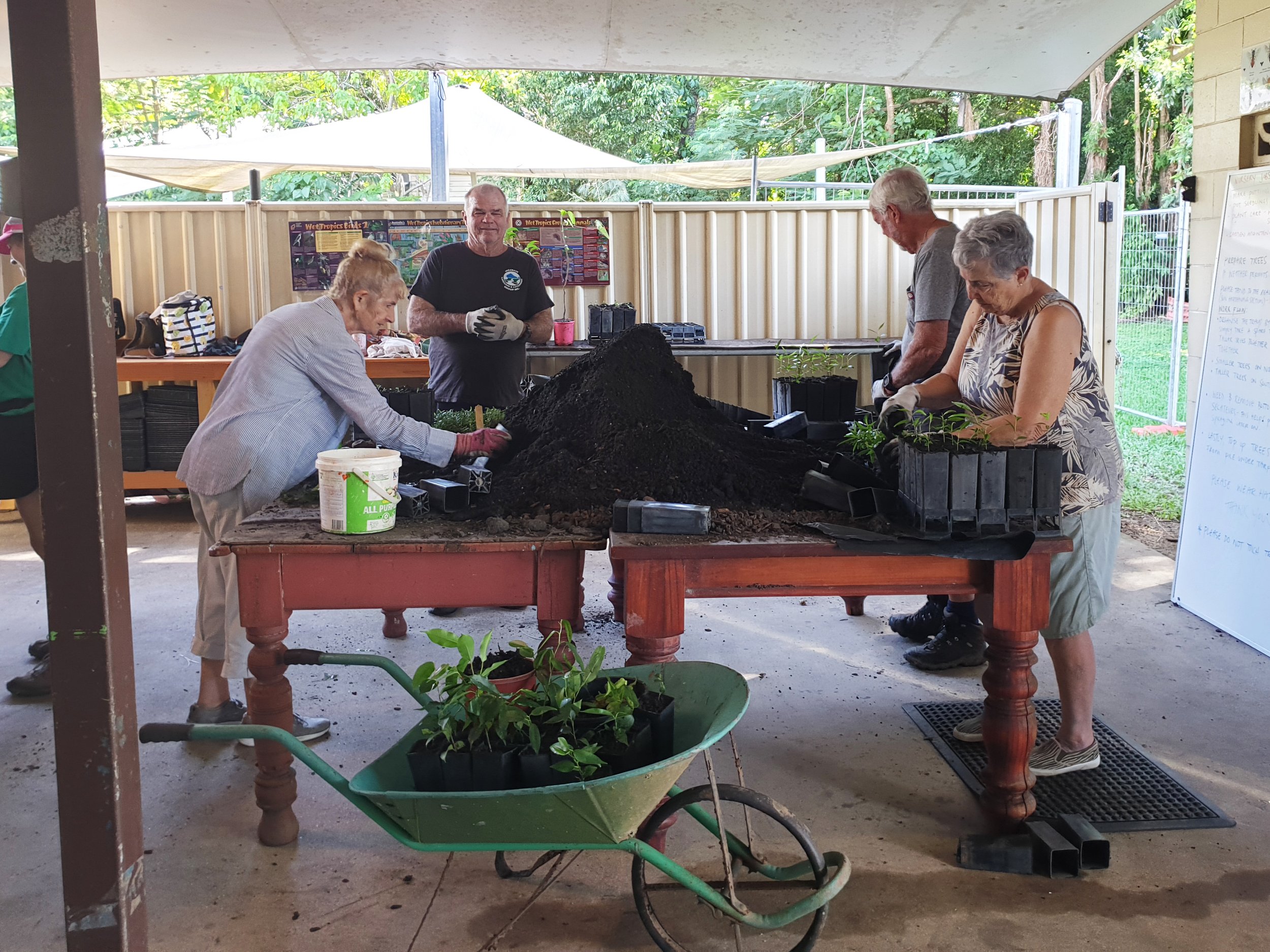 Community Nursery Mornings – Volunteer with Us! 🌱 