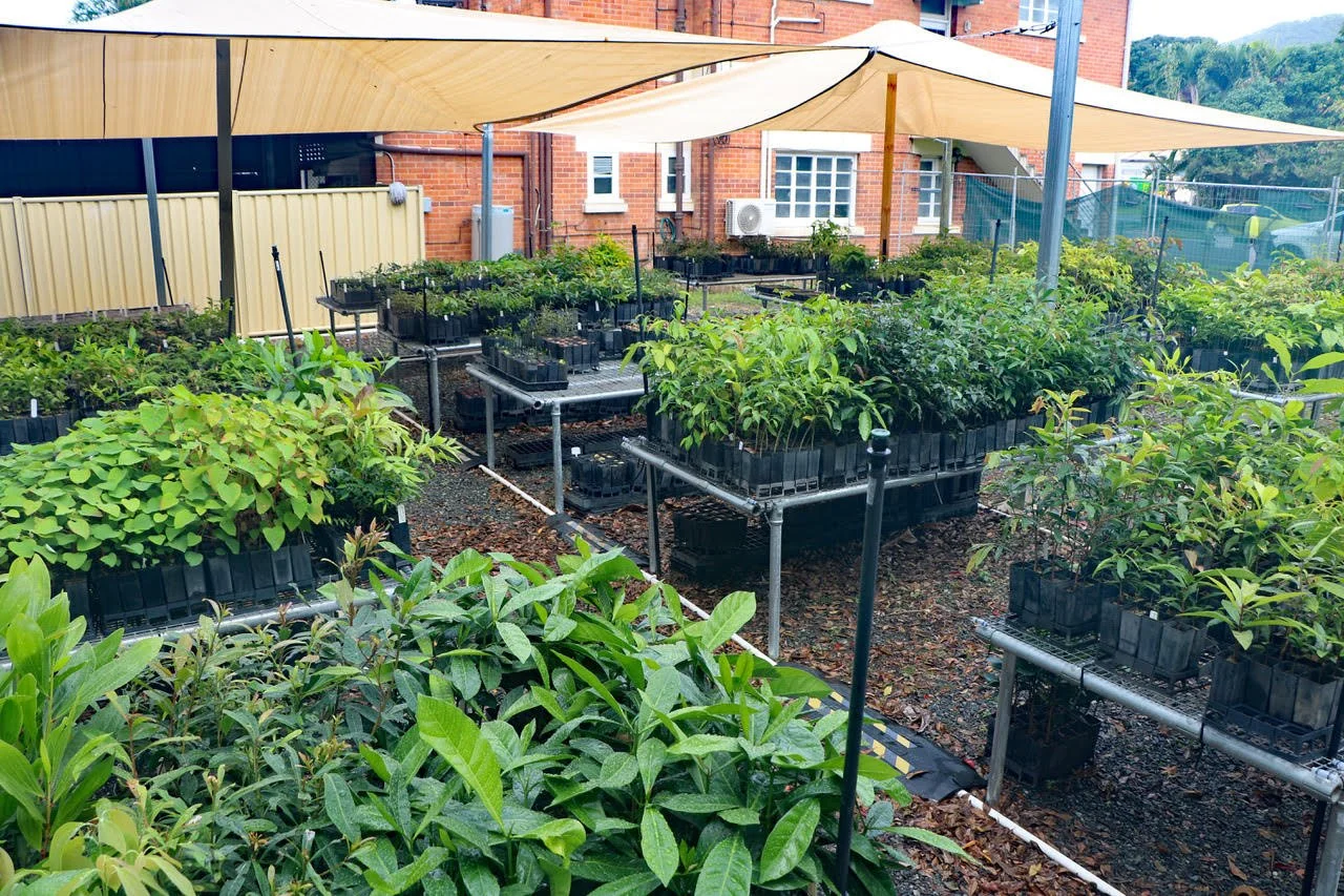 Community Nursery Mornings – Volunteer with Us! 🌱 