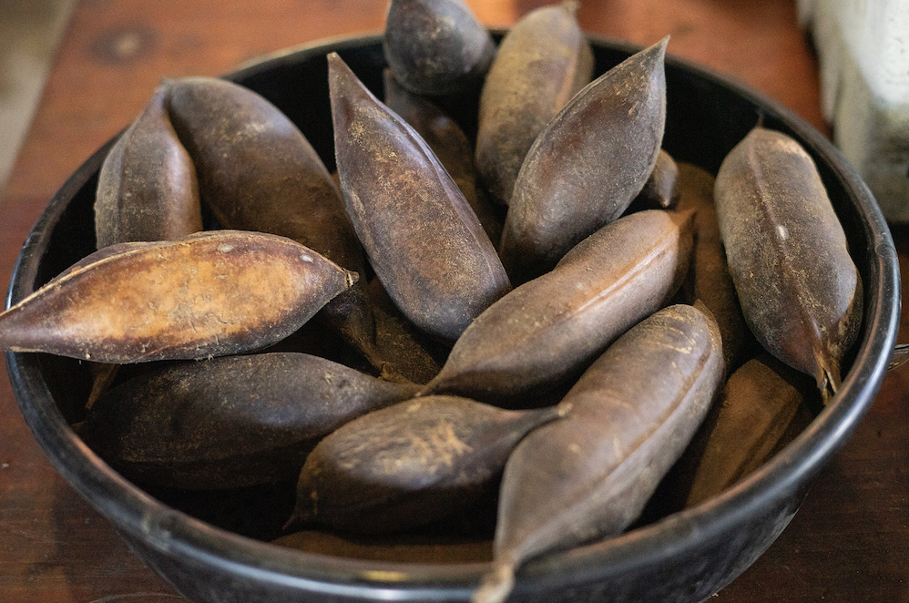 Community Nursery Mornings – Volunteer with Us! 🌱 