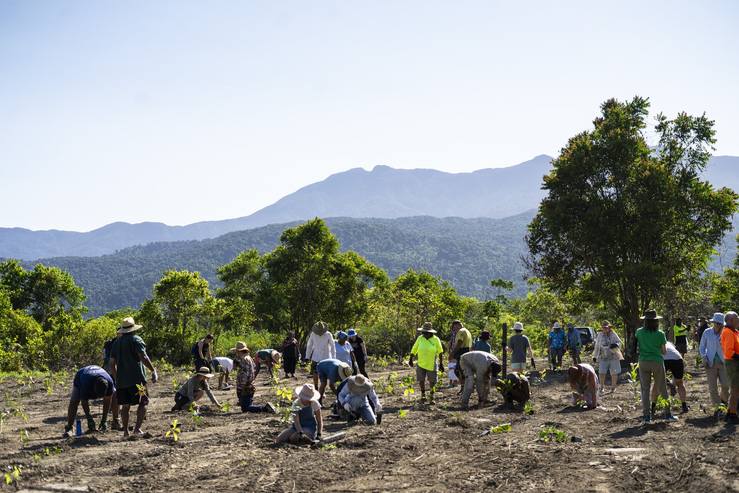 Community Tree Planting - 20 & 21st February