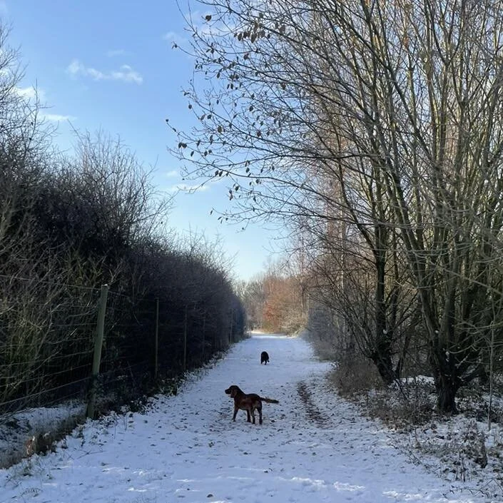 Map — PORTERS FARM