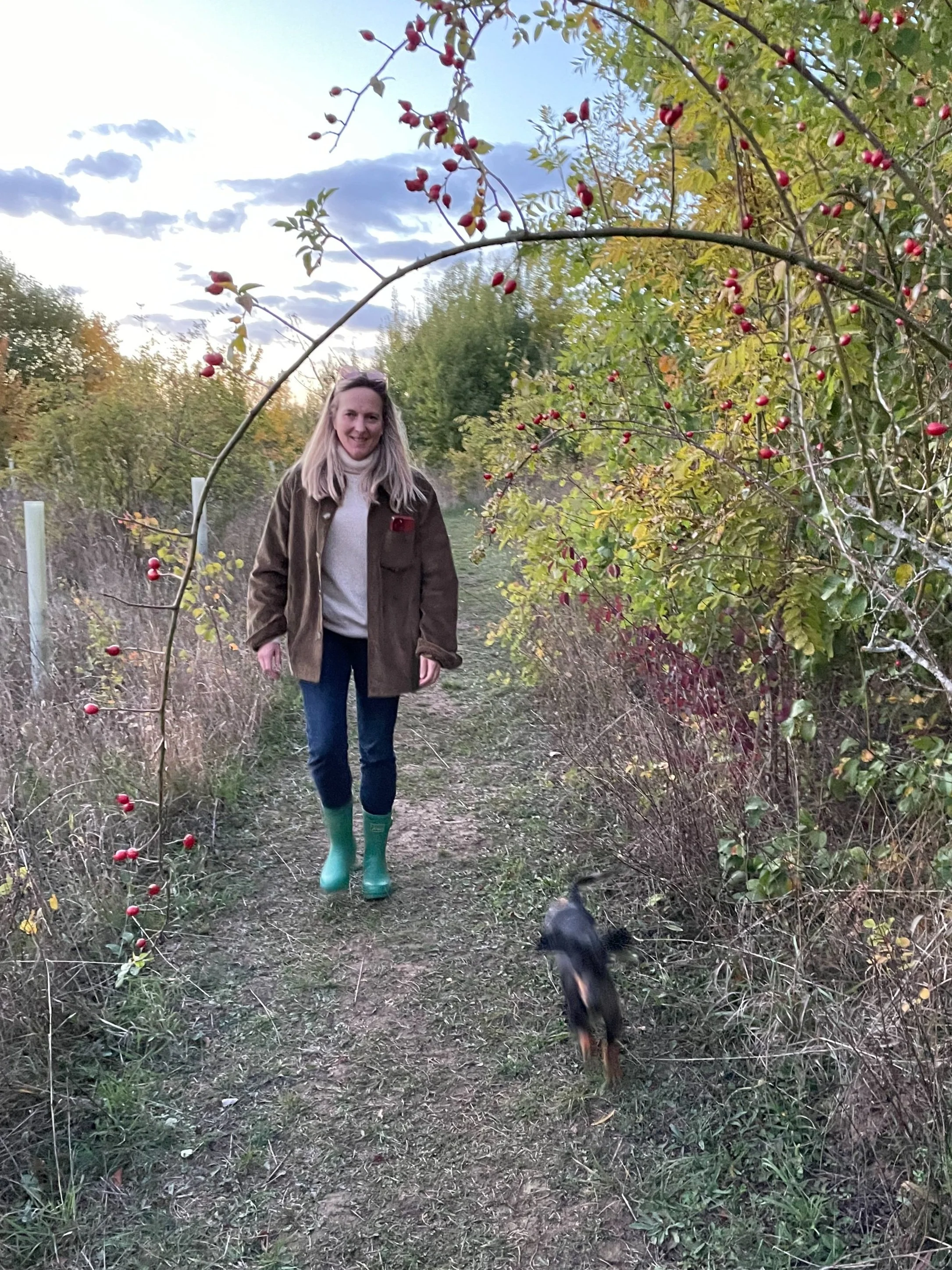 Ruffian Wood — PORTERS FARM