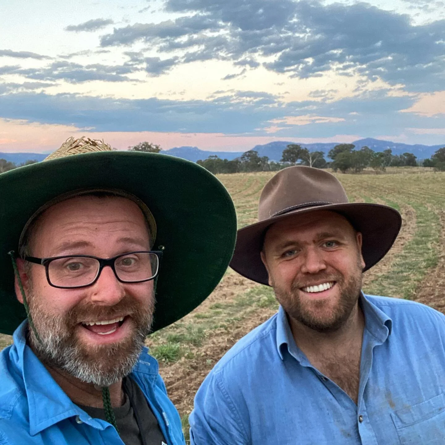 We&rsquo;re full of dust and dirt after another very long, hot day of planting lavender. Getting closer to getting all 14.5k of them into the ground. Time for bed!