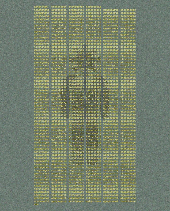 Secret-Genesis-Code-LIGHT.jpg