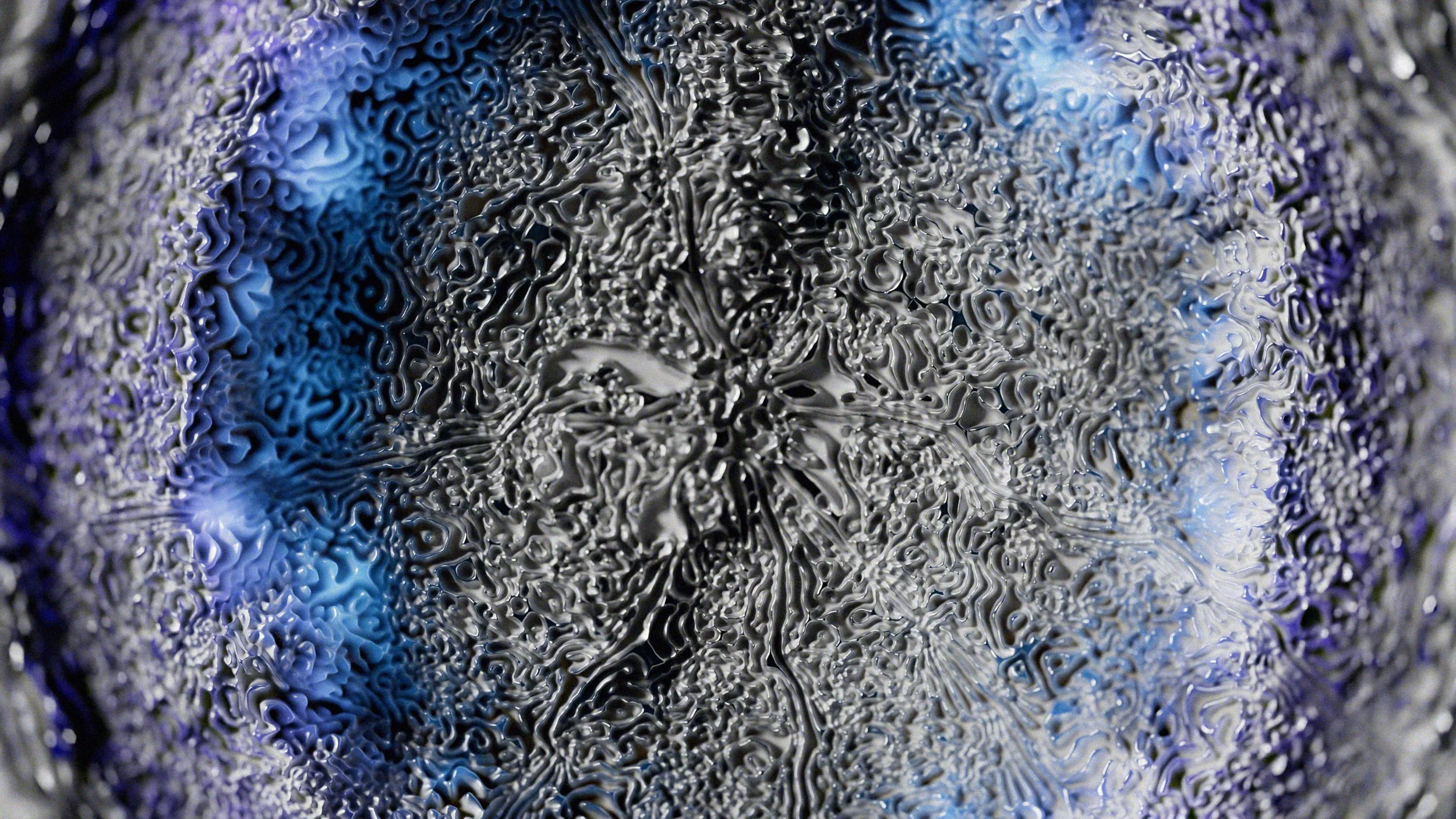 coos_02 copy.jpg