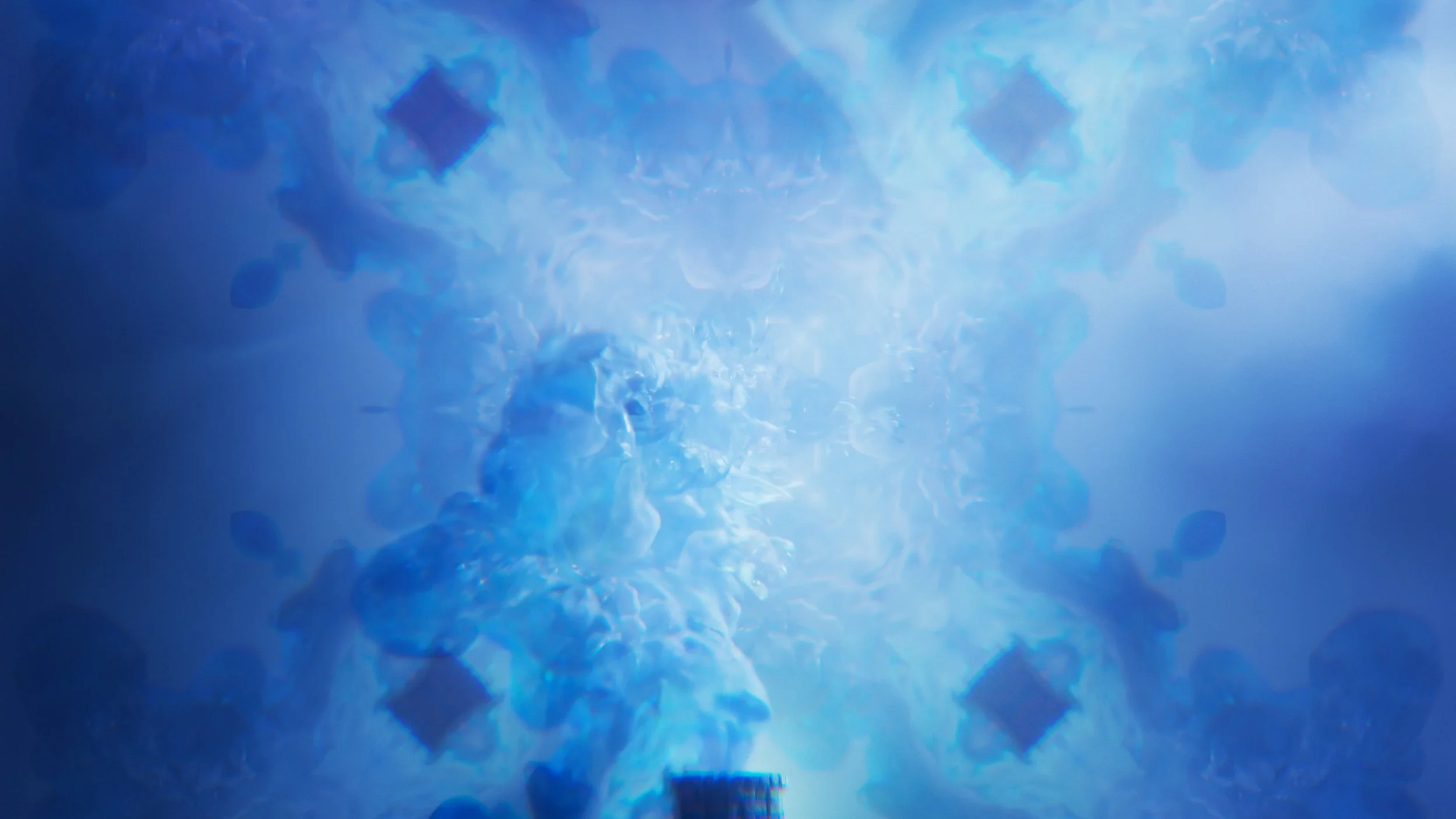 coos_06 copy.jpg