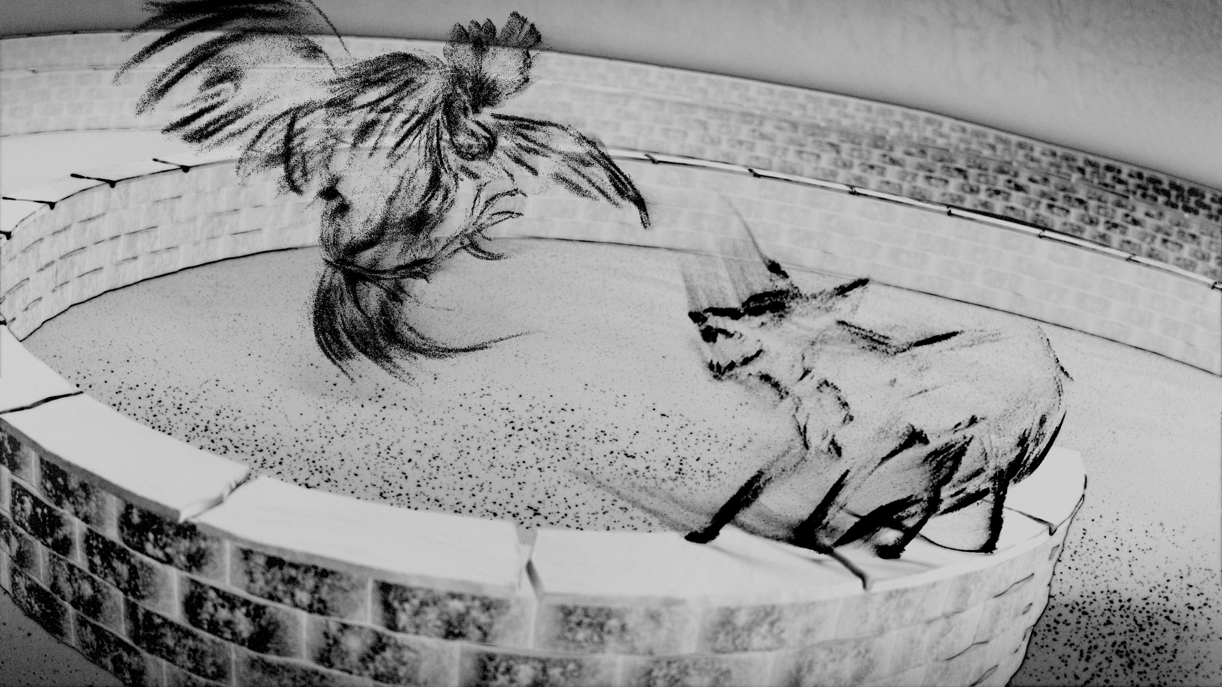sh_30_rooster_fox (00075).png