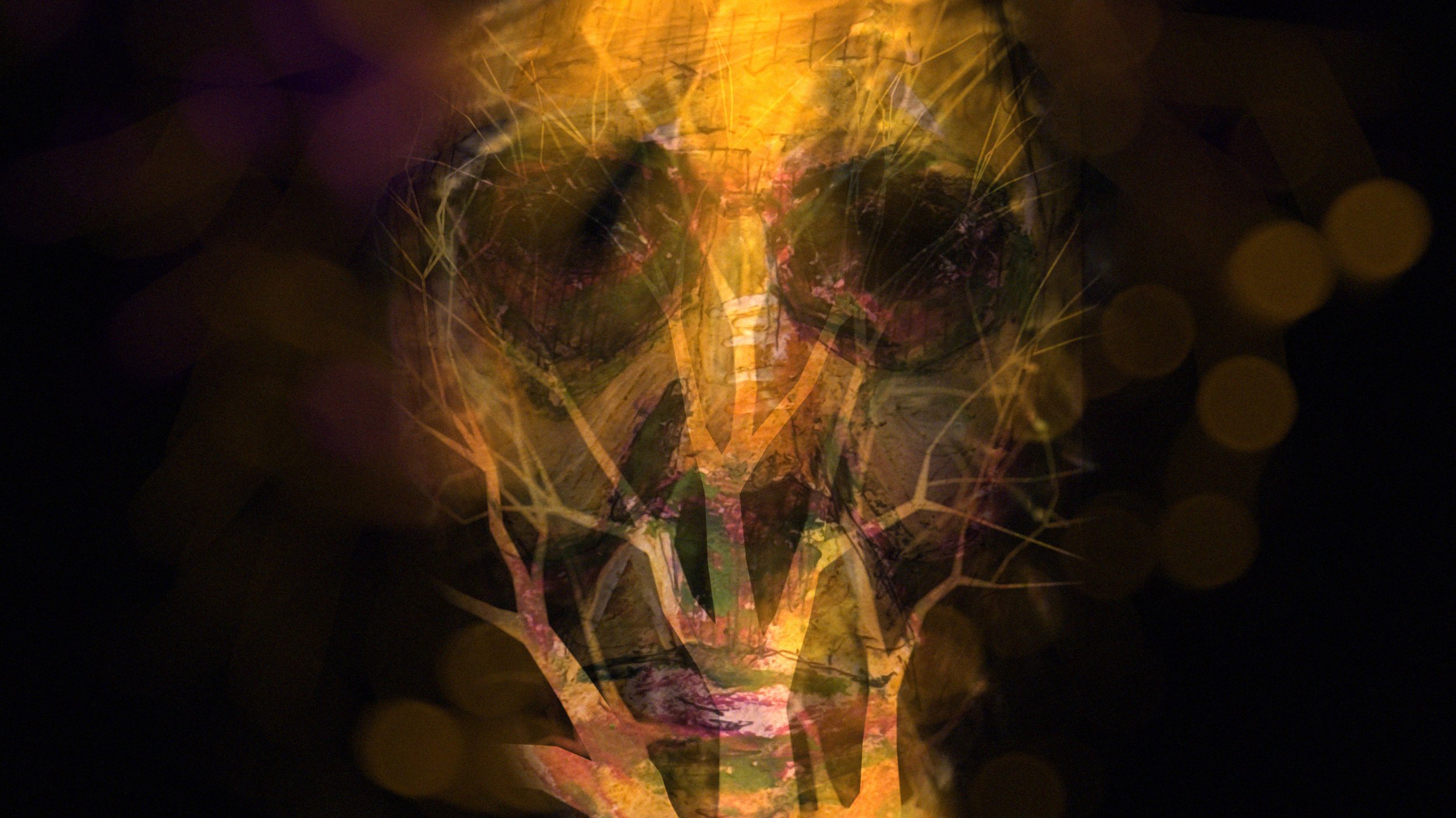 coos_07 copy.jpg