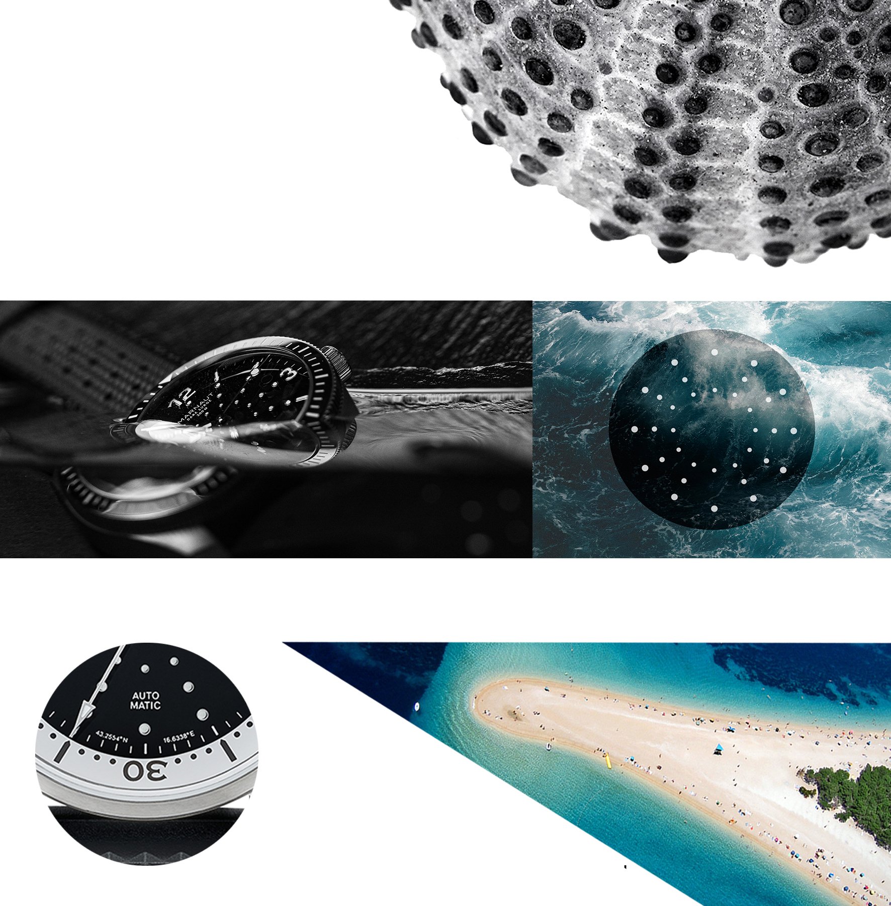 Sea urchin shells Adriatic Sea Croatia inspiration