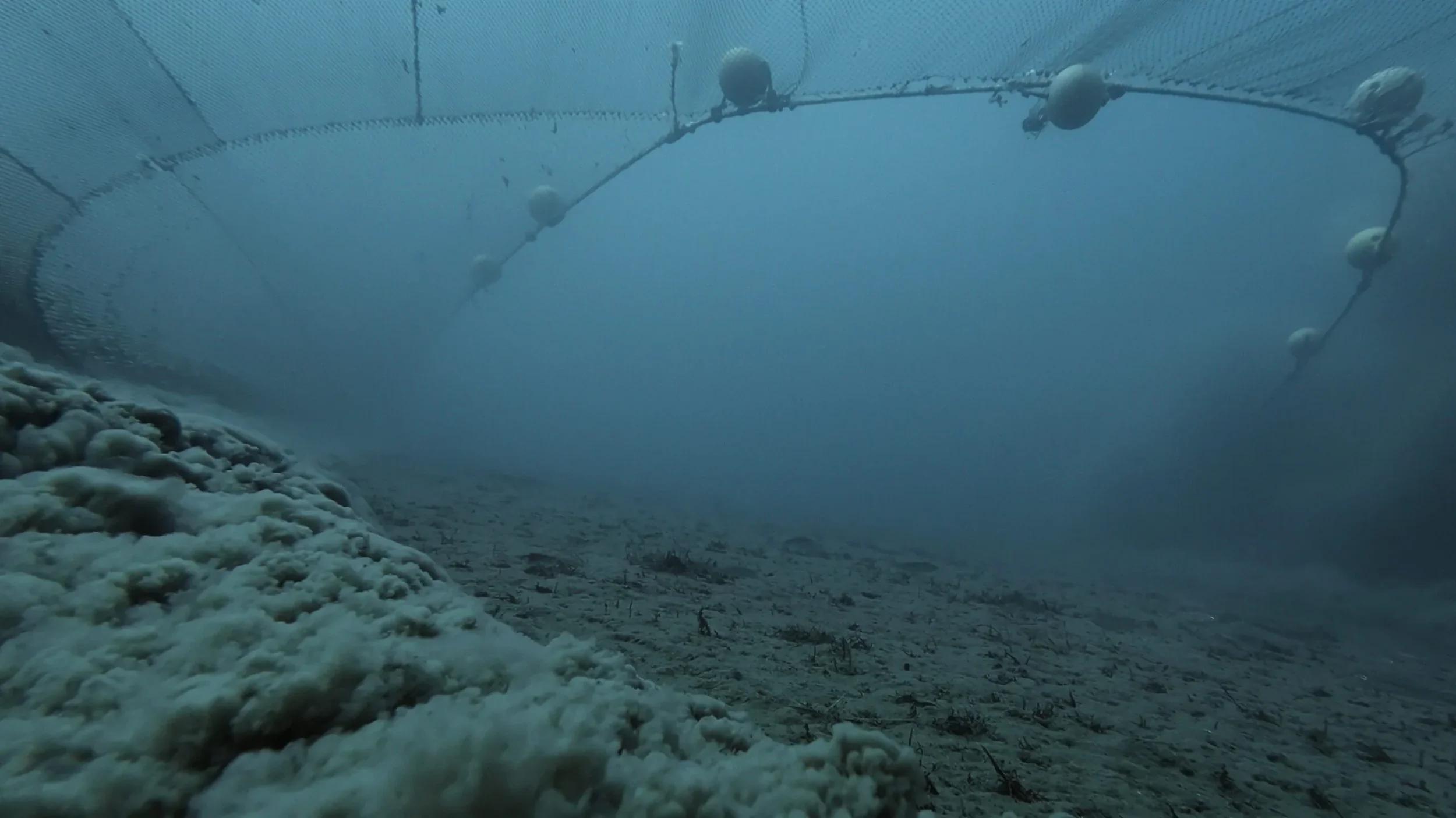 5-OceanWithDavidAttenborough_OV_UHD-SDR_23_ZXX_EM_TrawlingUnderwater_crop-scaled.webp
