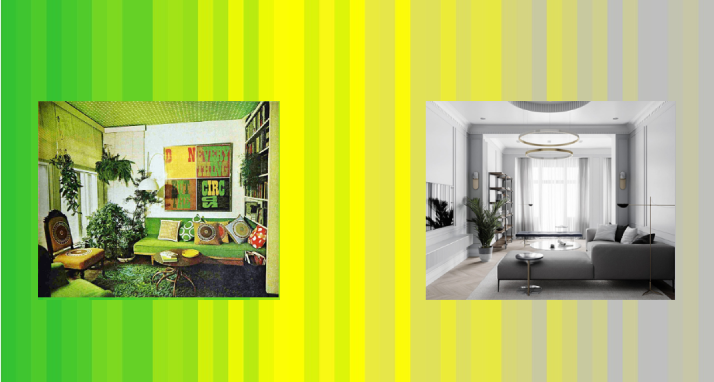 Biodiversity Loss &amp; Colour in Society