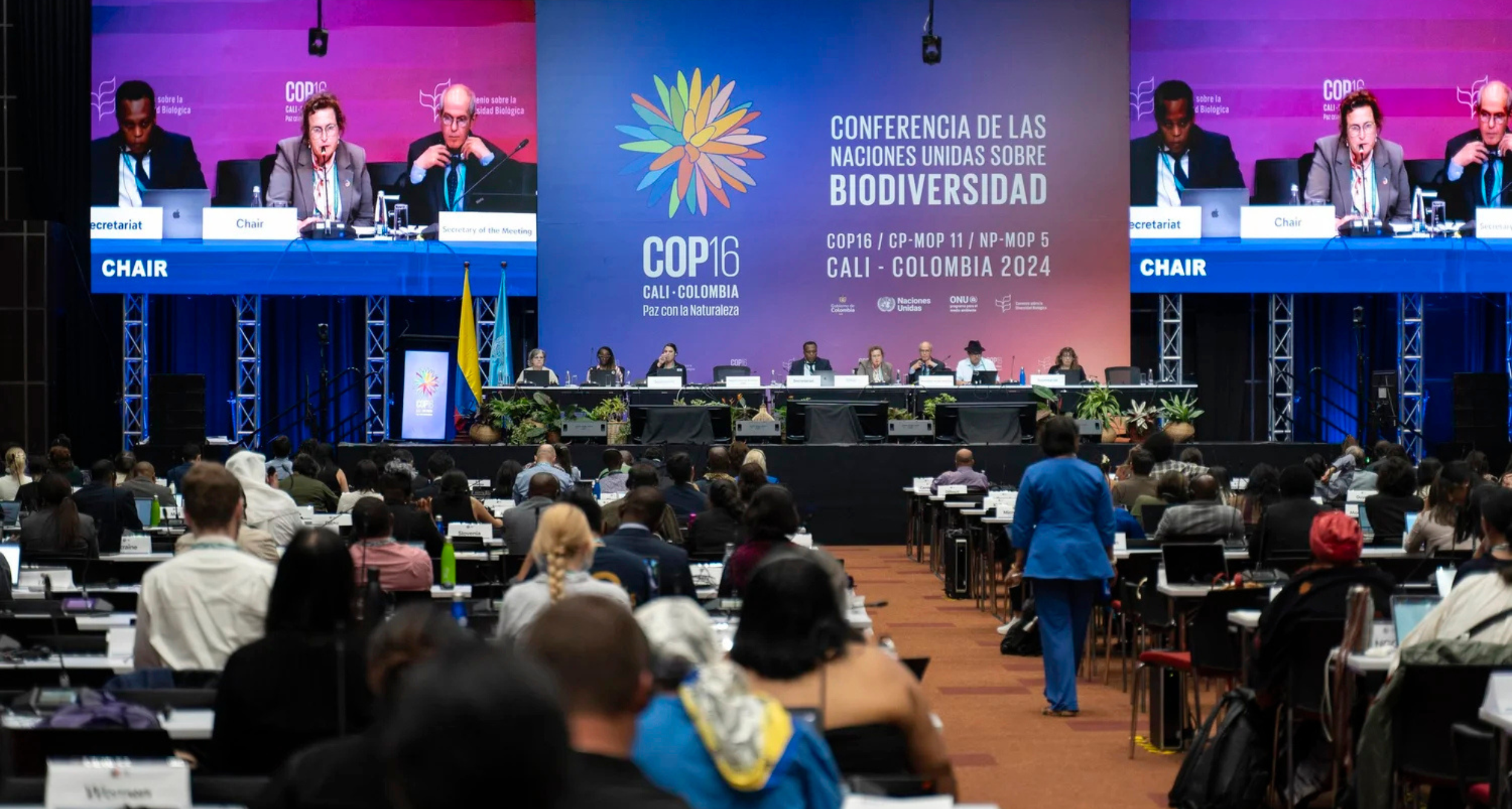 Nature Takes Centre Stage – Biodiversity COP (COP16)