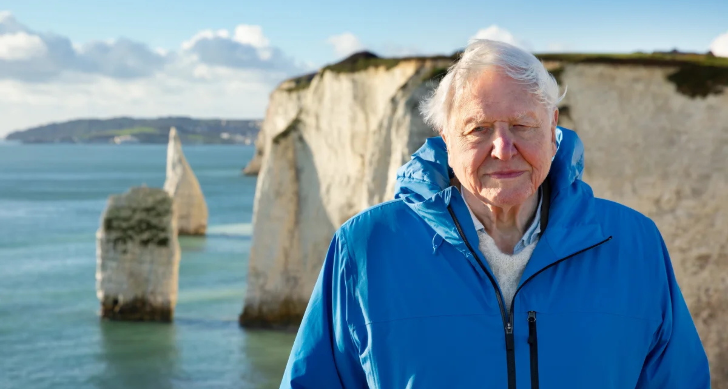 Reflections on ‘OCEAN with David Attenborough’&nbsp;