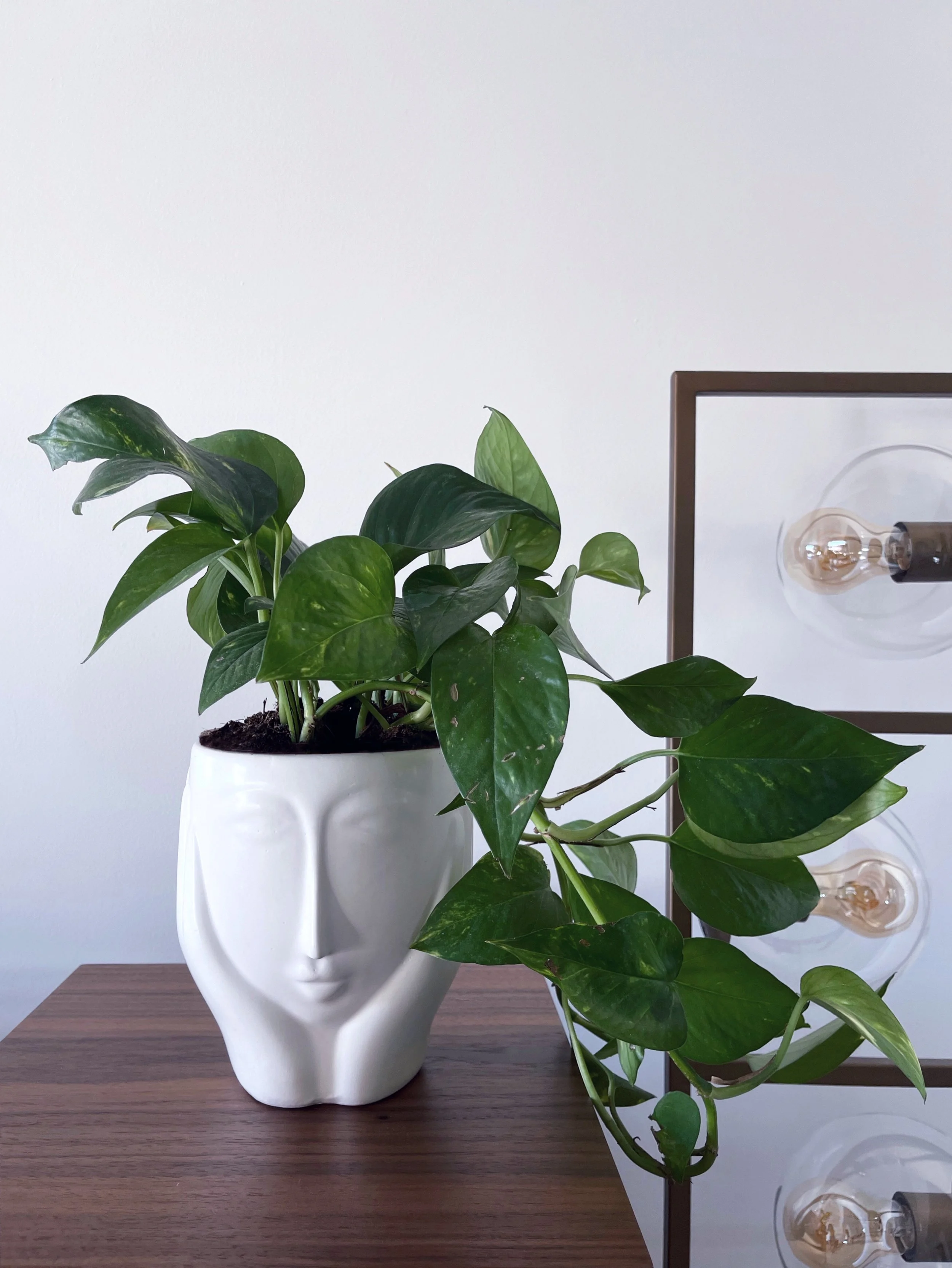 5204BB3B-77BE-4C9C-84FE-3C0703DB488E 2.jpg