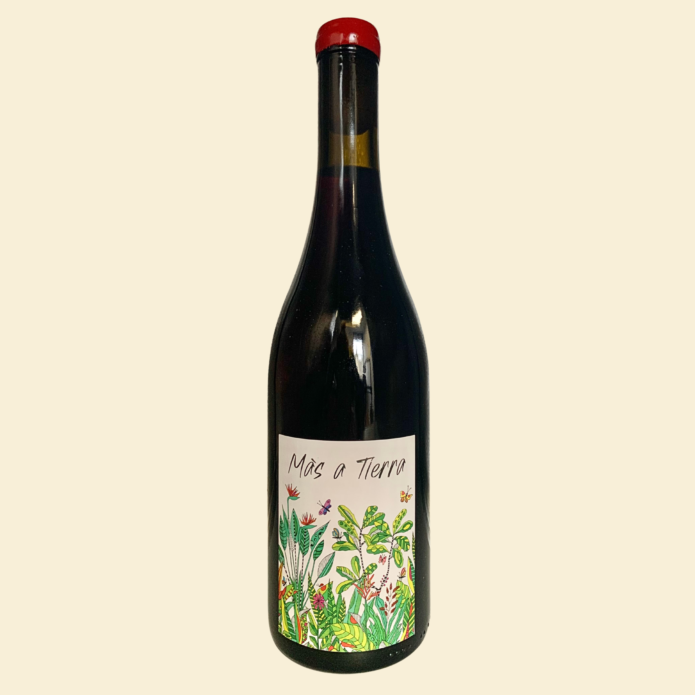 La Petite Empreinte, Coteaux Bourguignons Mas a Tierra, 2024