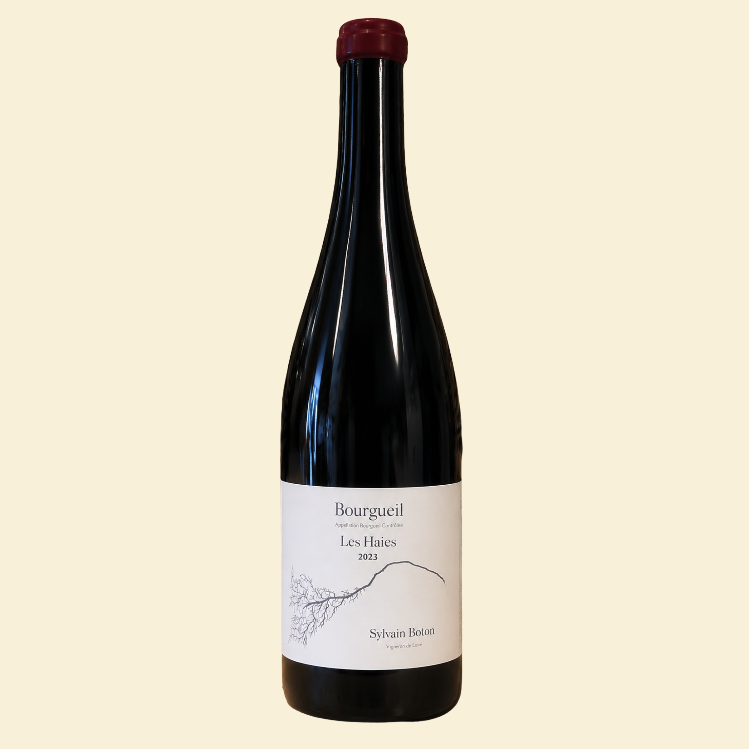 Domaine Sylvain Boton, Les Haies, 2023