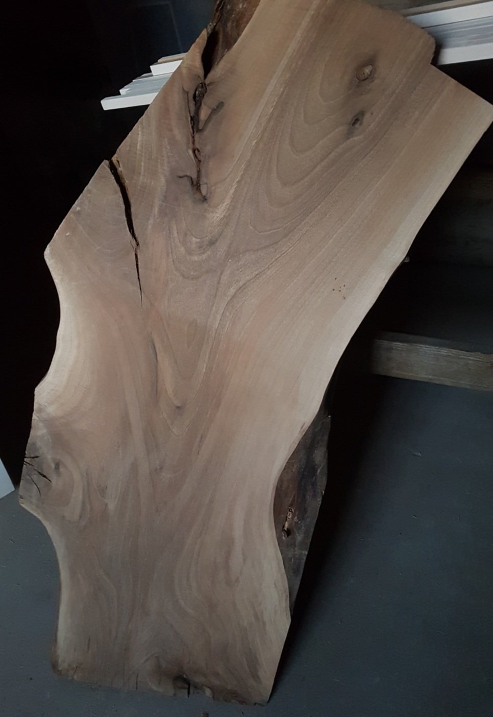 Screenshot_20190819-130601_Gallery.jpg