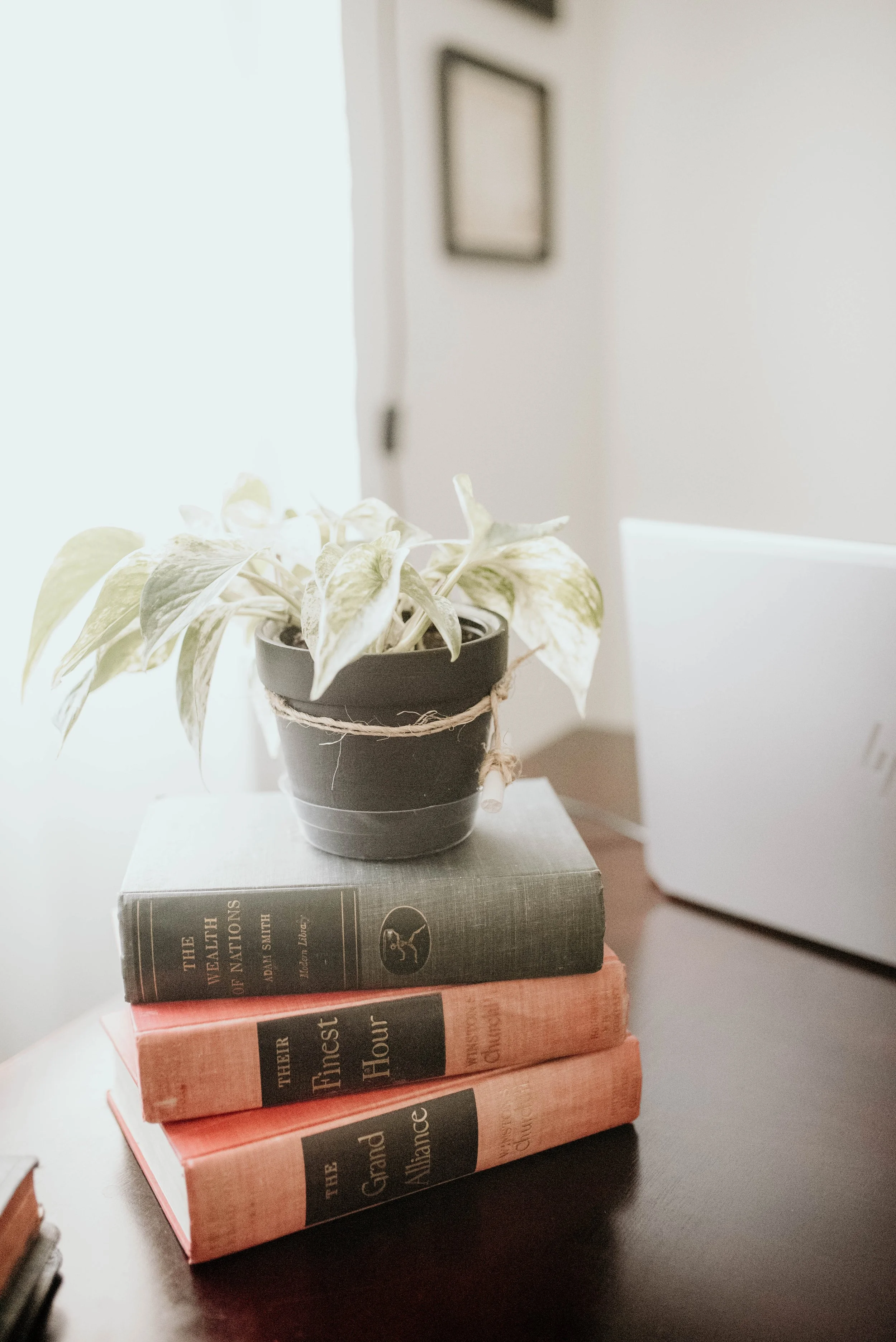 LF Consulting - Administration