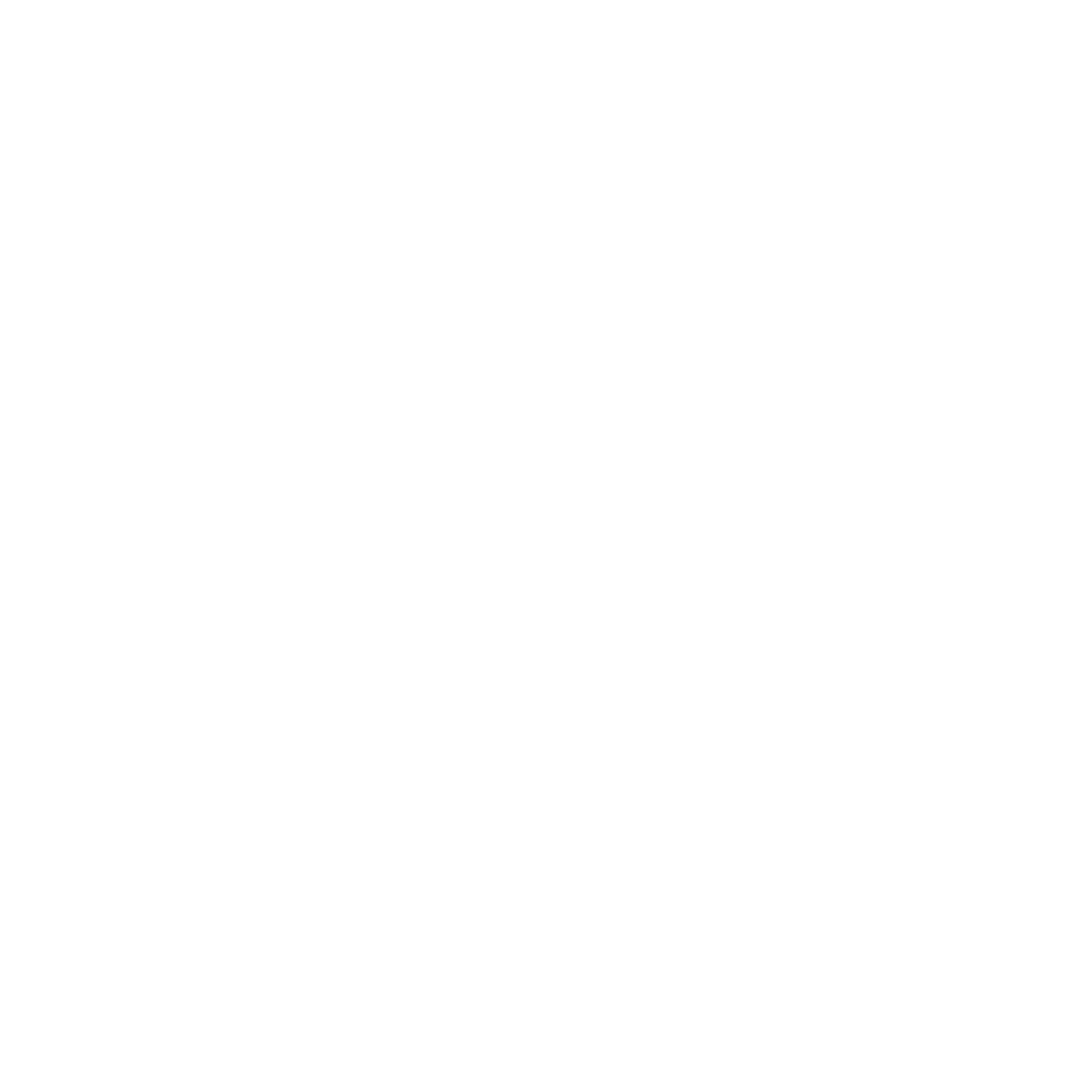 b-n-flow chiropractic