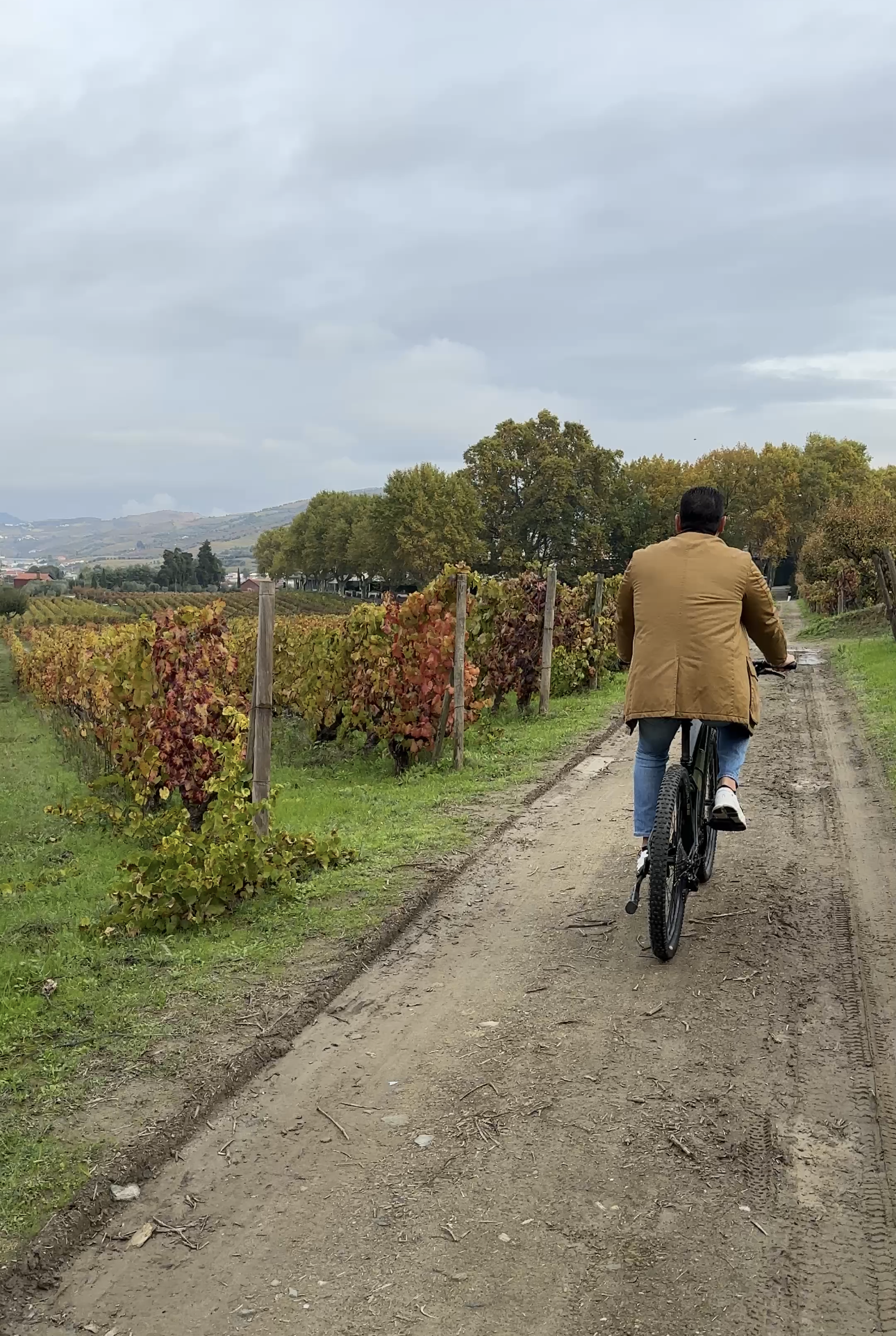 View recent photos.png