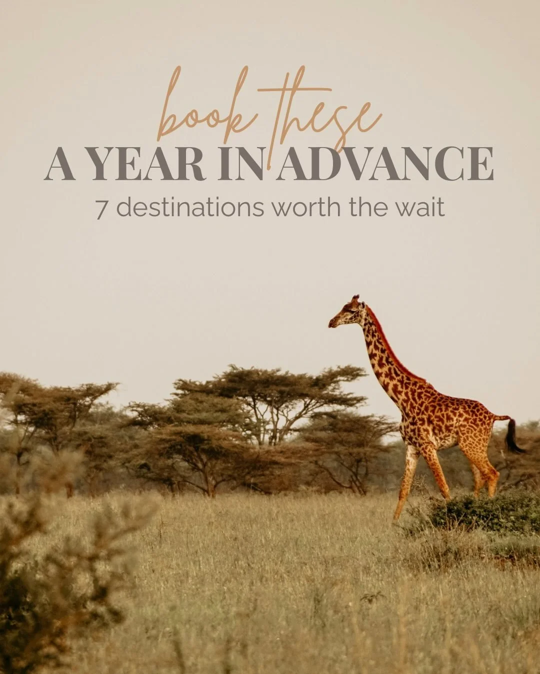 Some trips you can book whenever. These are not those trips.

Safari - Botswana or Tanzania
You don&rsquo;t need a year out, unless you want the luxury private camp on the Okavango Delta that only holds 8 guests.

Cherry Blossom in Japan
Cherry bloss