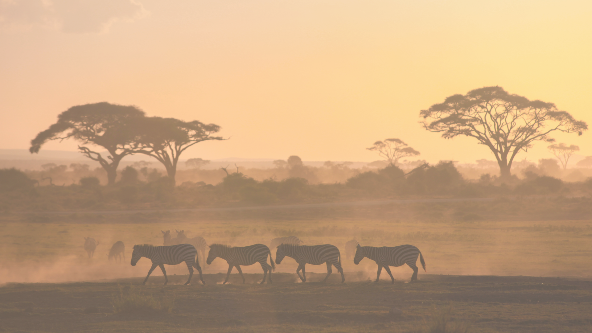 Why I Hired a Safari Expert (And I'm a Travel Agent)