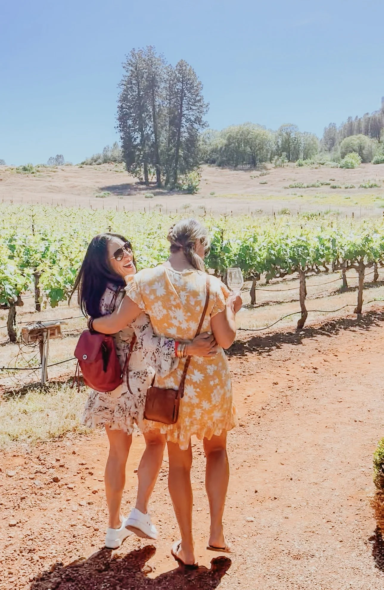 Why I Skipped Napa for a Local's Wine Passport (And You Should Too)