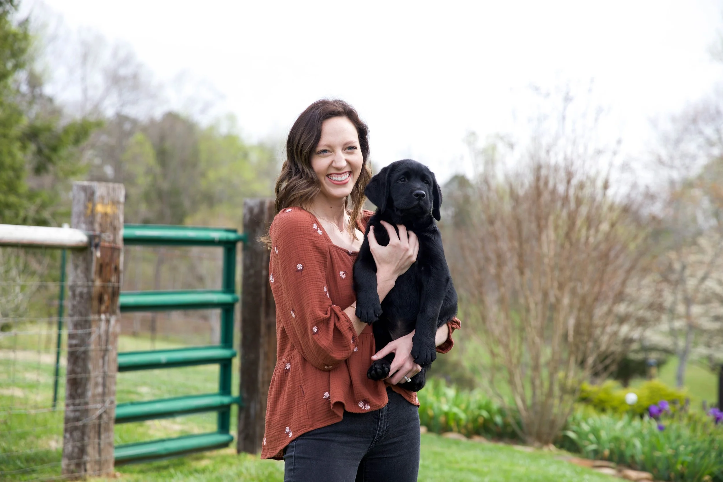 Best English Labrador Breeders in the USA Moose and Mary Labrador Kennels