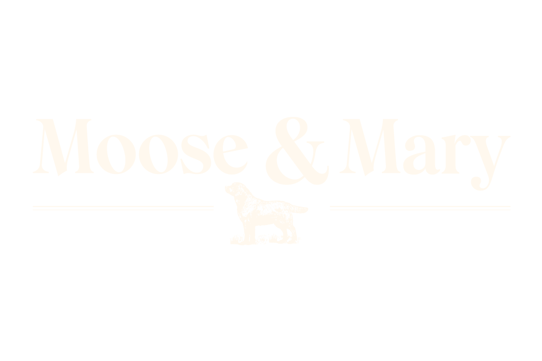 Best English Labrador Breeders in the USA Moose and Mary Labrador Kennels