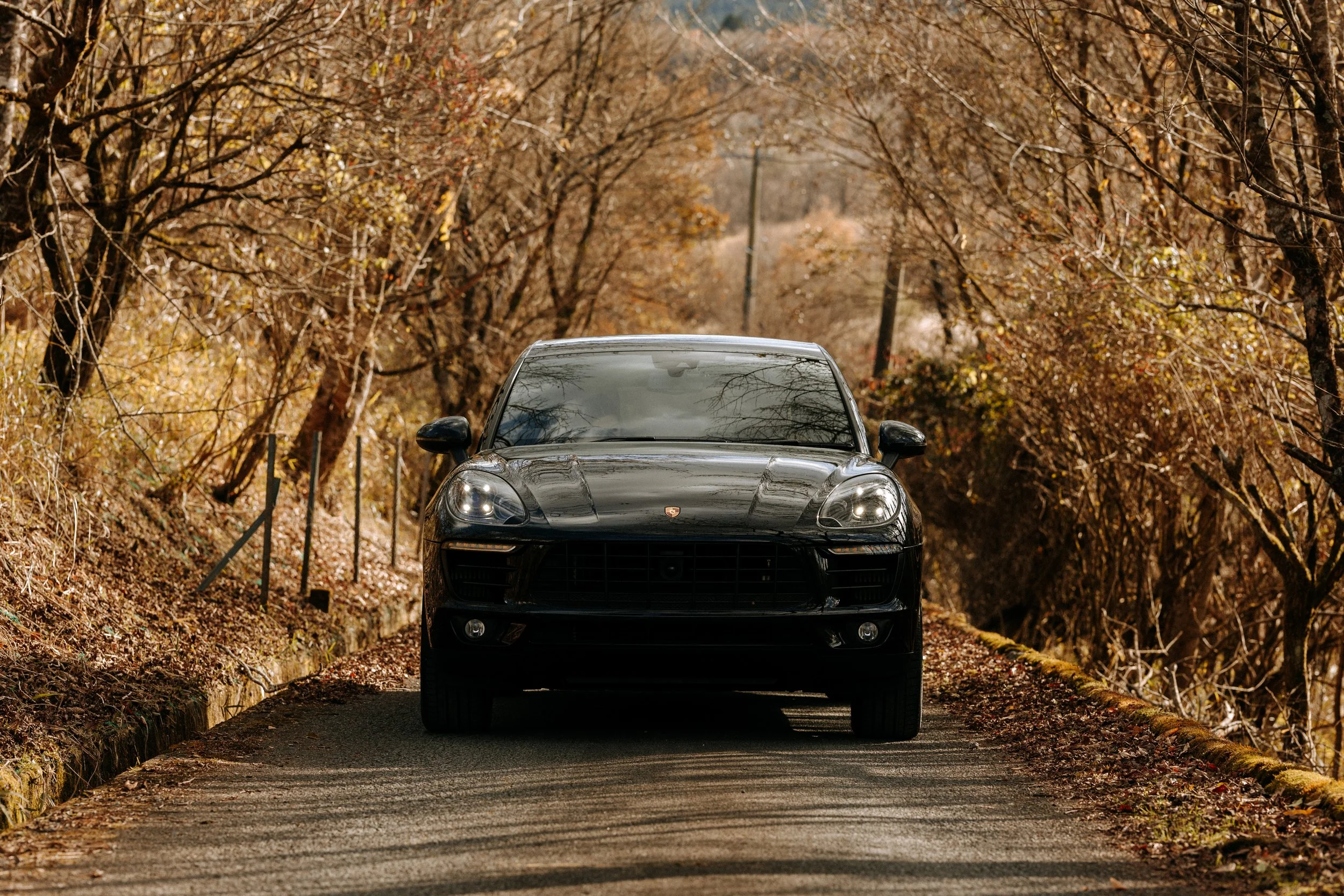 MACAN-2.jpg