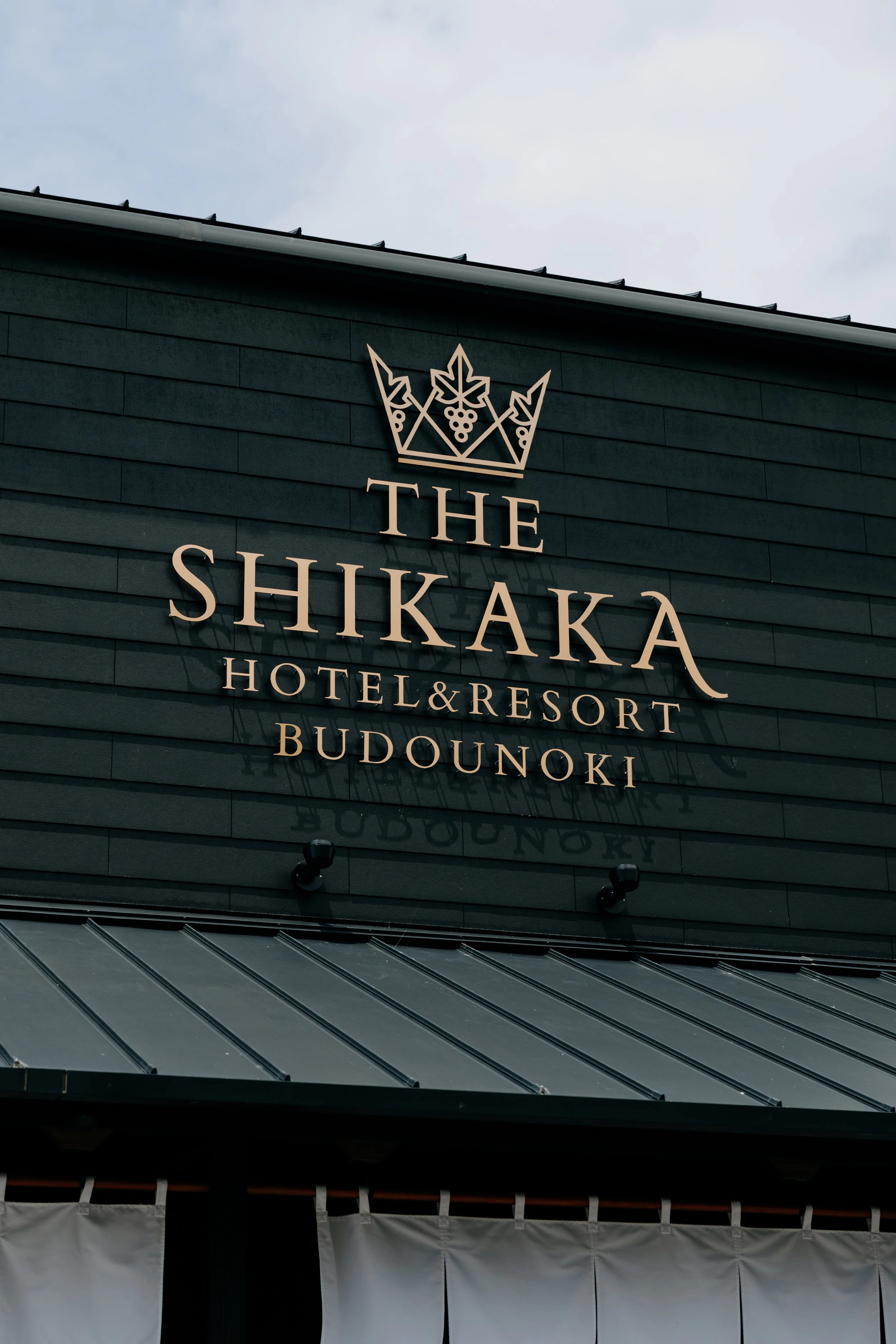 Shikaka-6.jpg