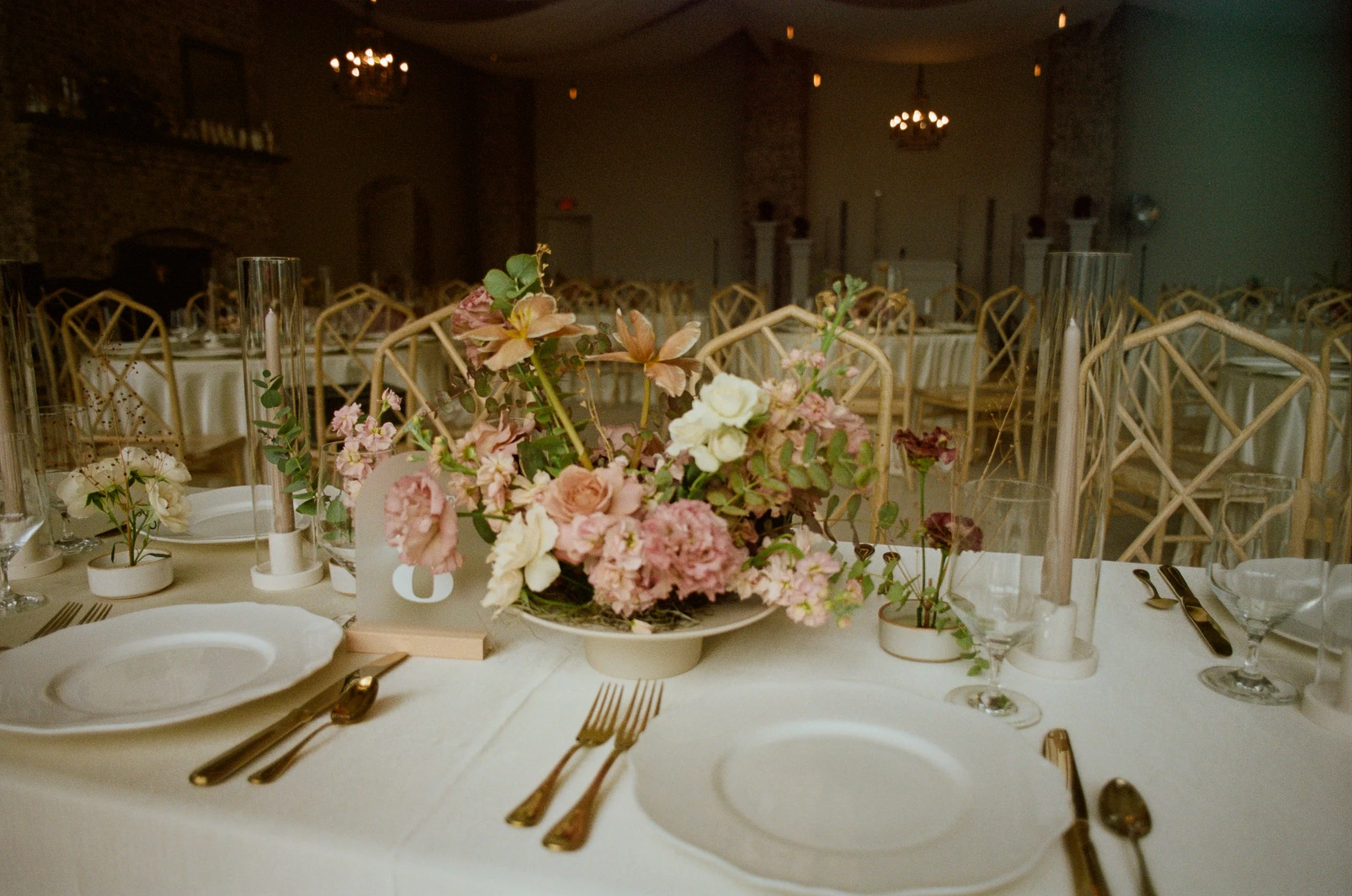 Savannah and Tony FILM-1.jpg