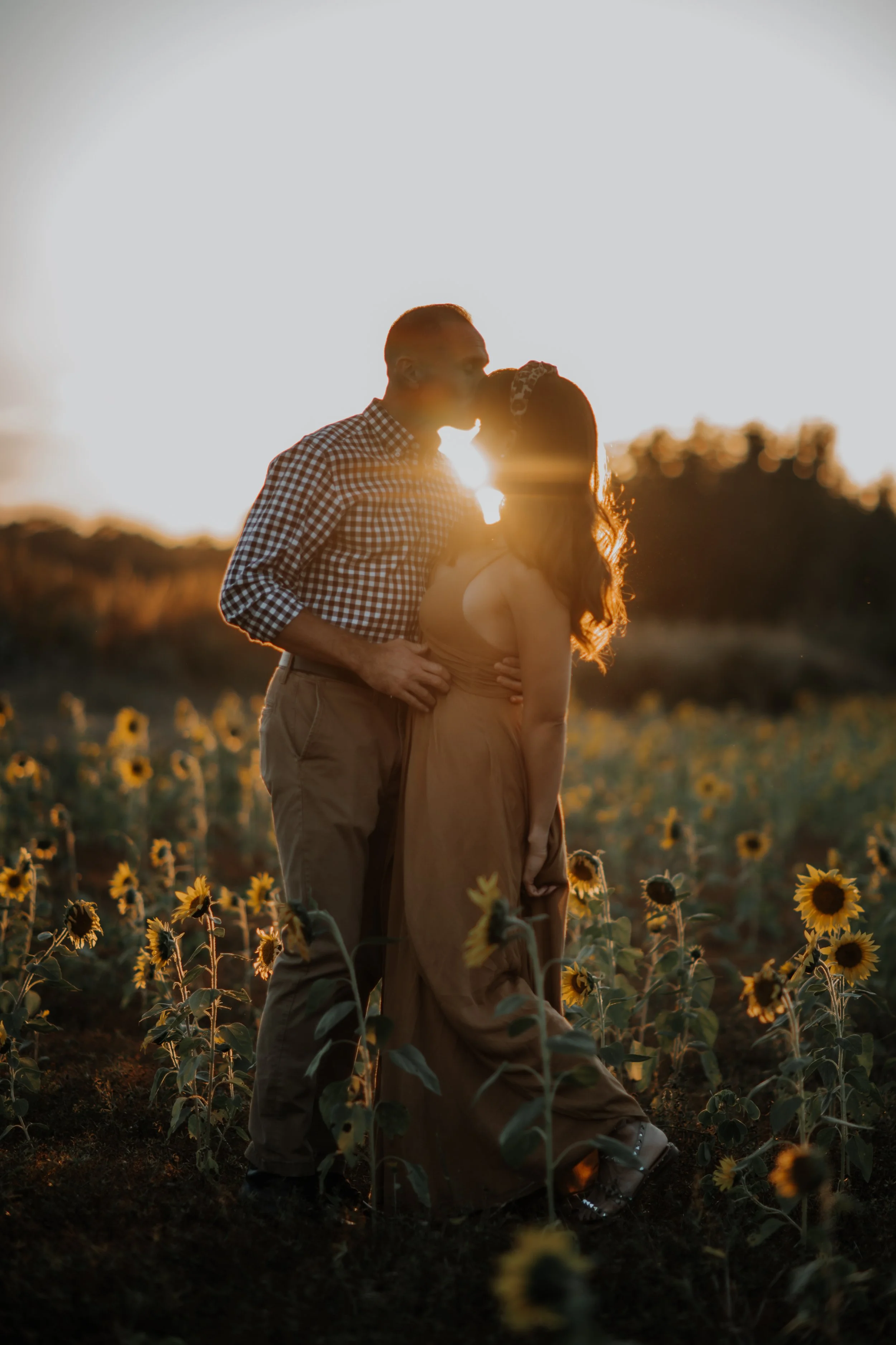 A couple sharing a kiss in a sunflower field at sunset, with the sun shining behind them creating a backlit silhouette.