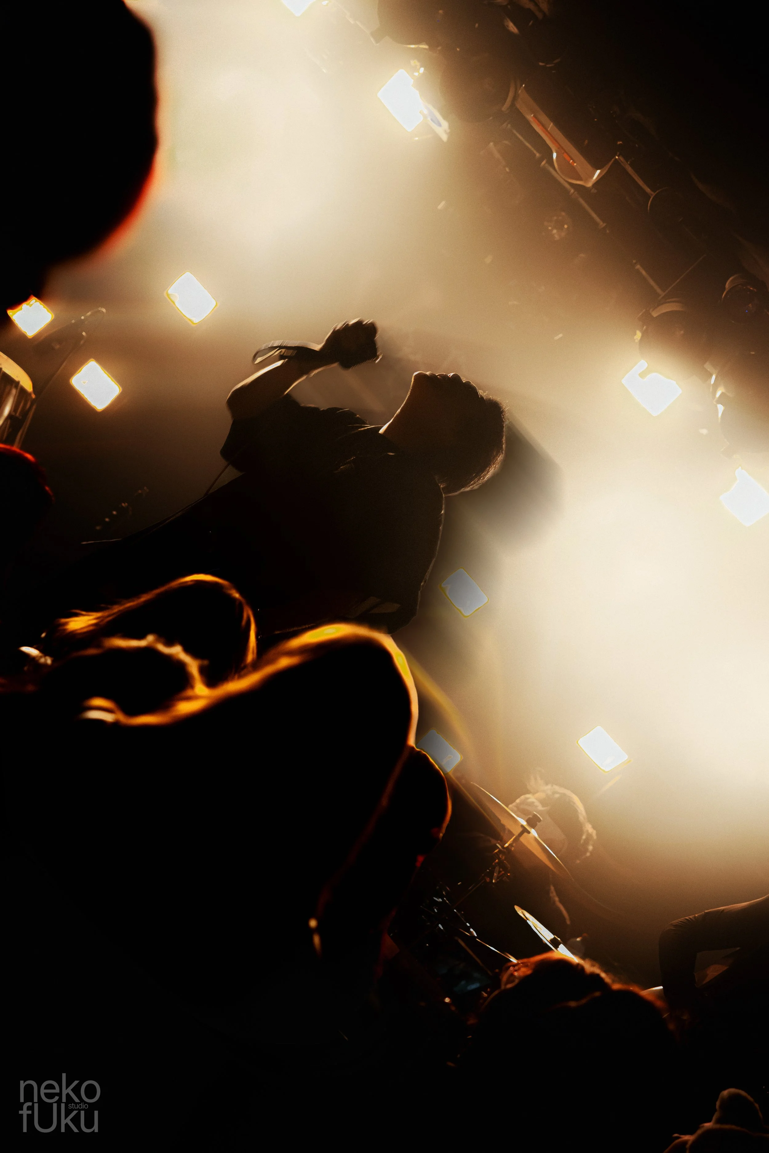 A musician on stage performing with a microphone, with a bright light shining behind them and an audience in the foreground.