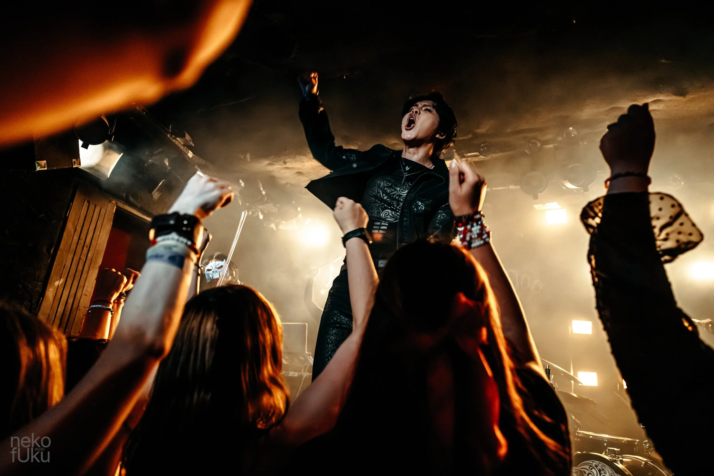 A female performer on stage singing passionately into a microphone at a concert, with a crowd of audience members raising their hands and fists in front of her. The scene is lit with warm stage lighting, creating a lively and energetic atmosphere.