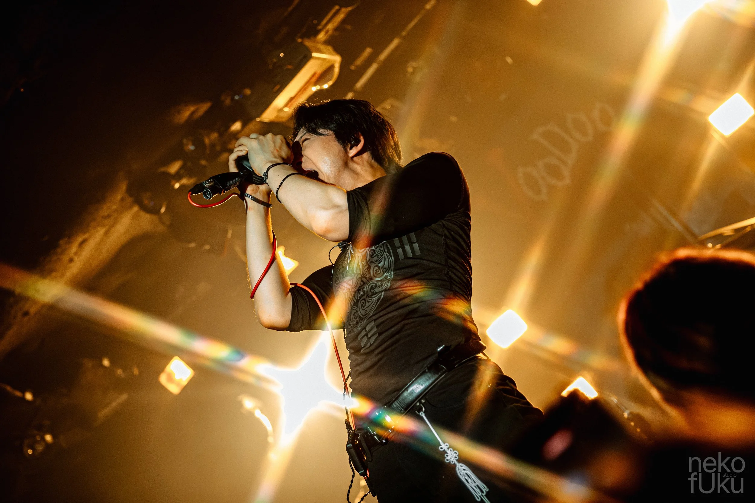 A male singer performing passionately on stage, holding a microphone close to his mouth with his eyes closed, in an environment with warm, bright stage lighting and a dark background.